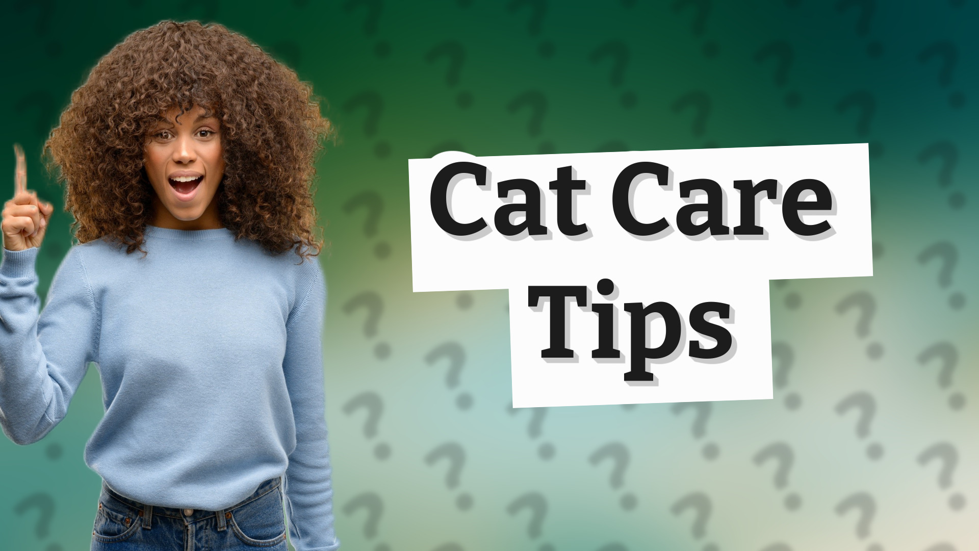 Cat Care Tips