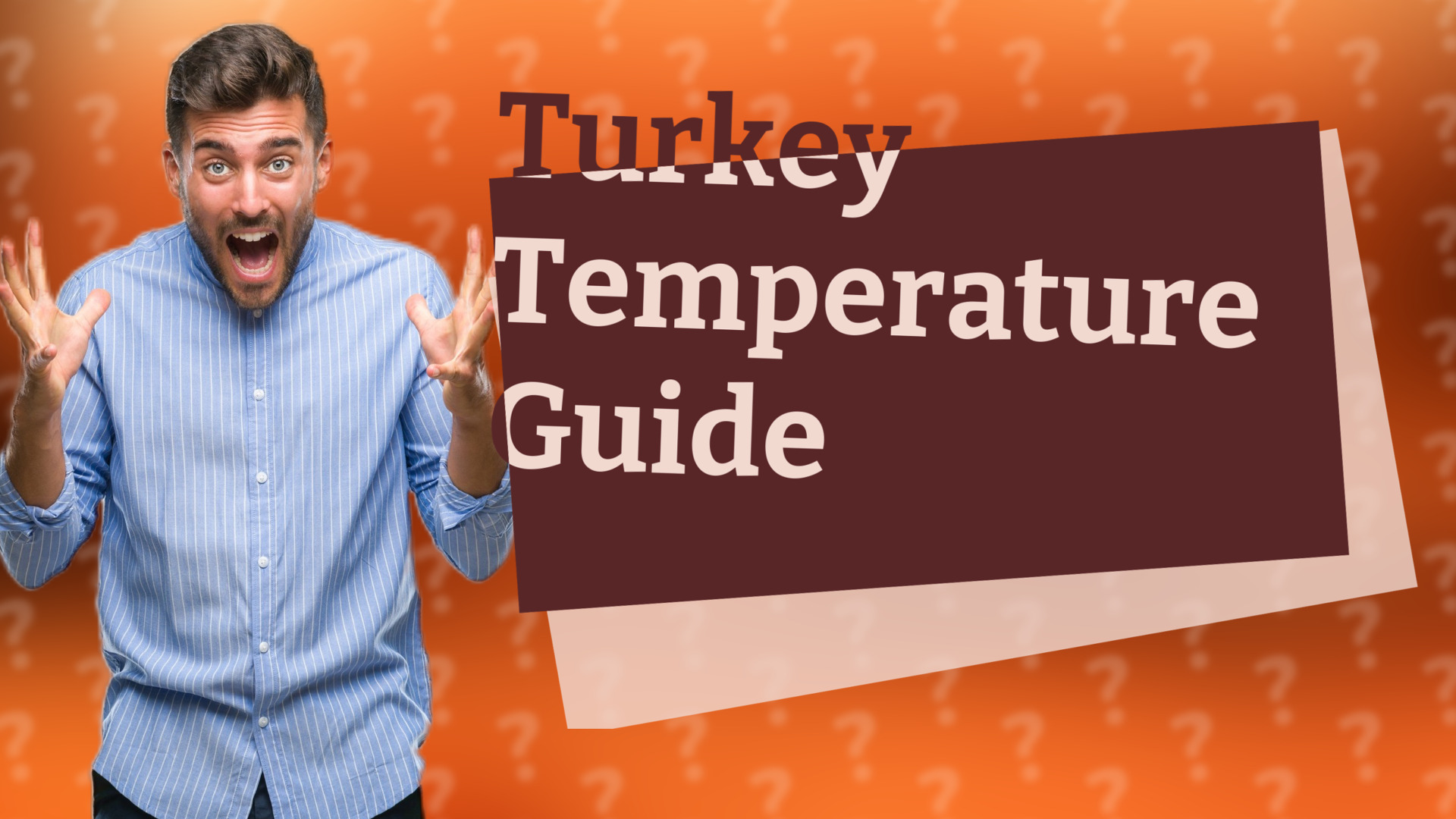 Turkey Temperature Guide