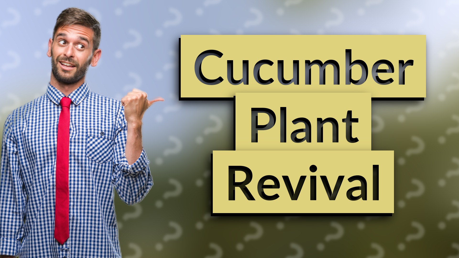 Cucumber Plant Revival