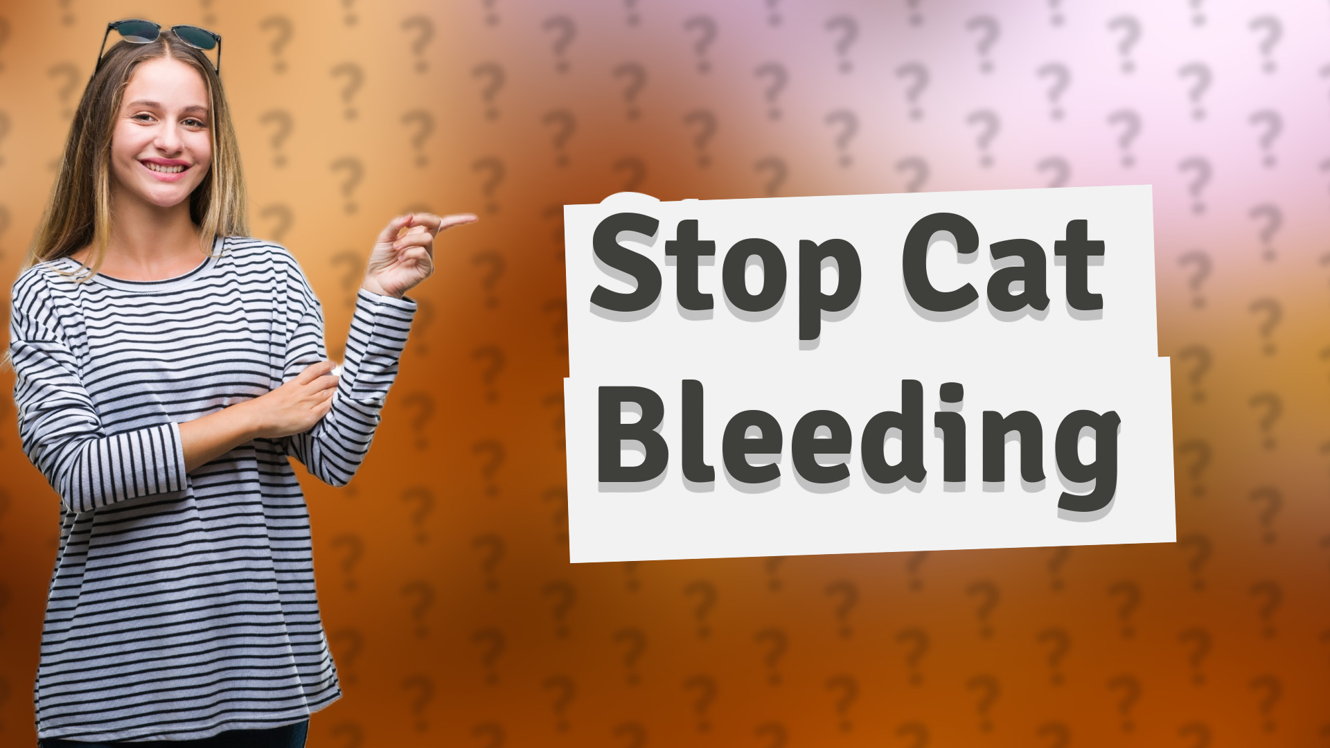 Stop Cat Bleeding