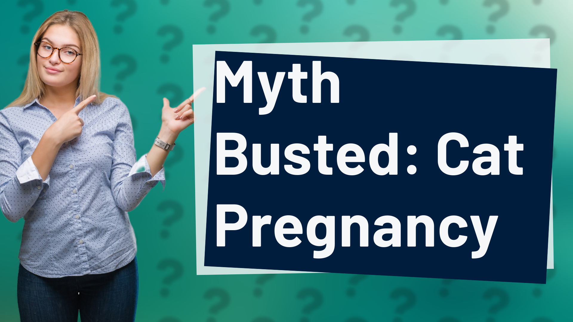 Myth Busted: Cat Pregnancy