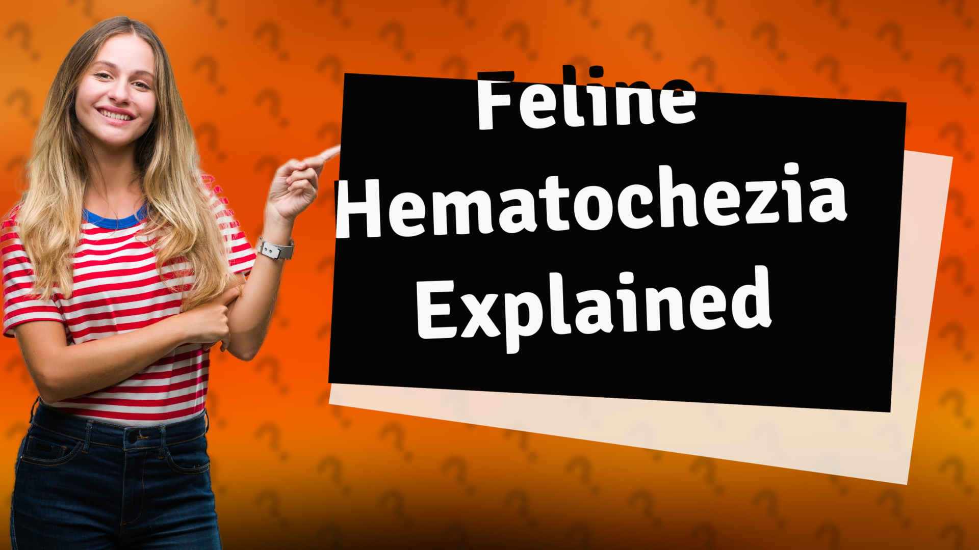 Feline Hematochezia Explained