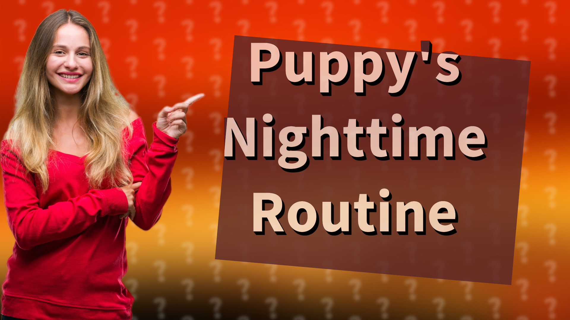Puppy's Nighttime Routine