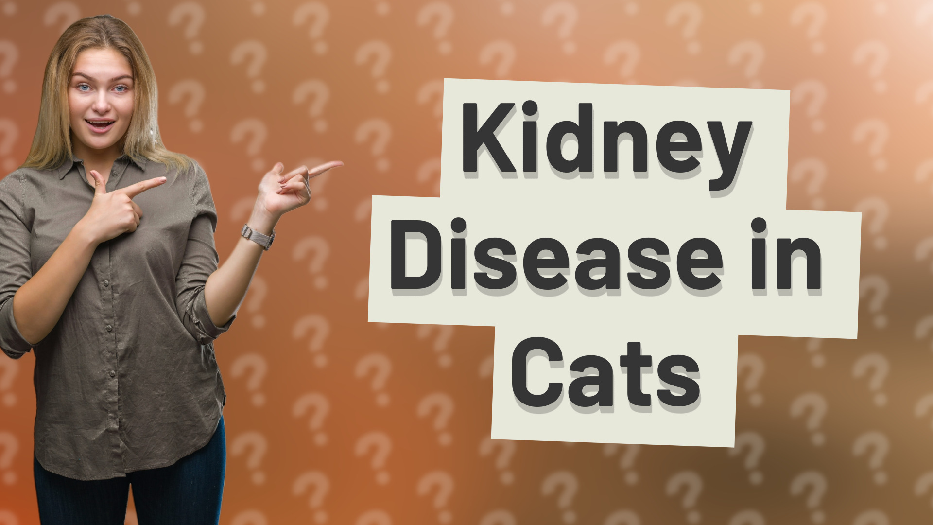 Kidney Disease in Cats