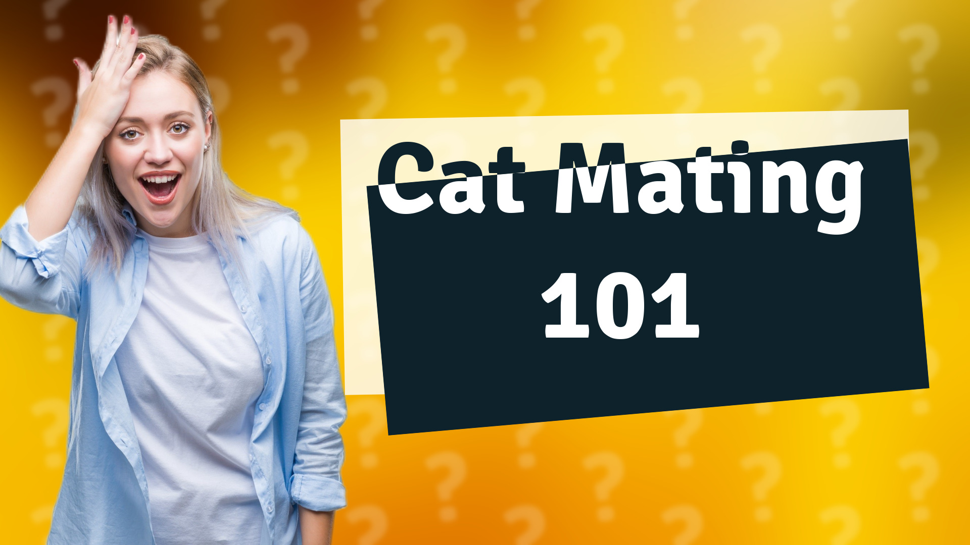 Cat Mating 101