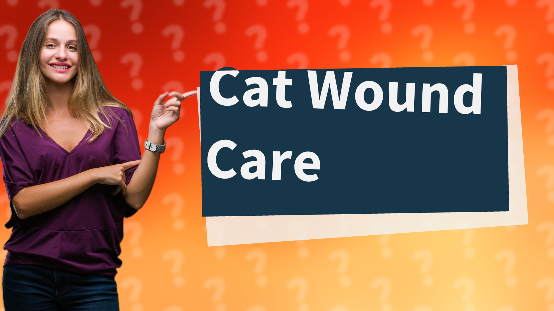 Cat Wound Care