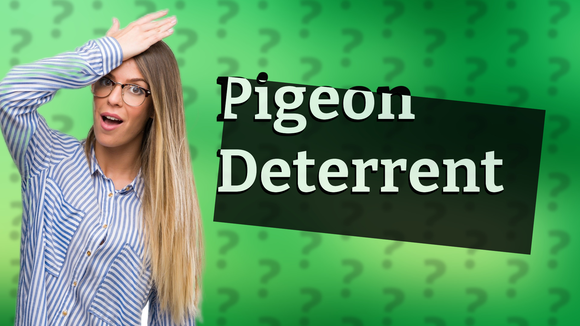Pigeon Deterrent