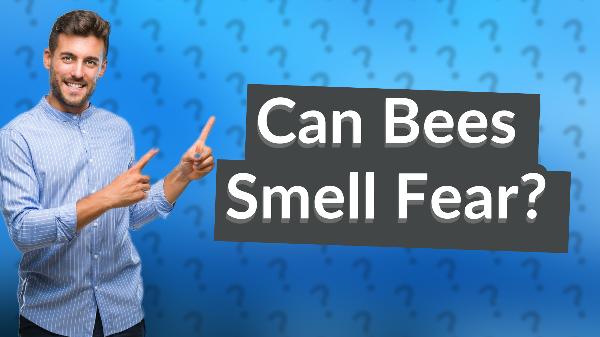Can Bees Smell Fear?