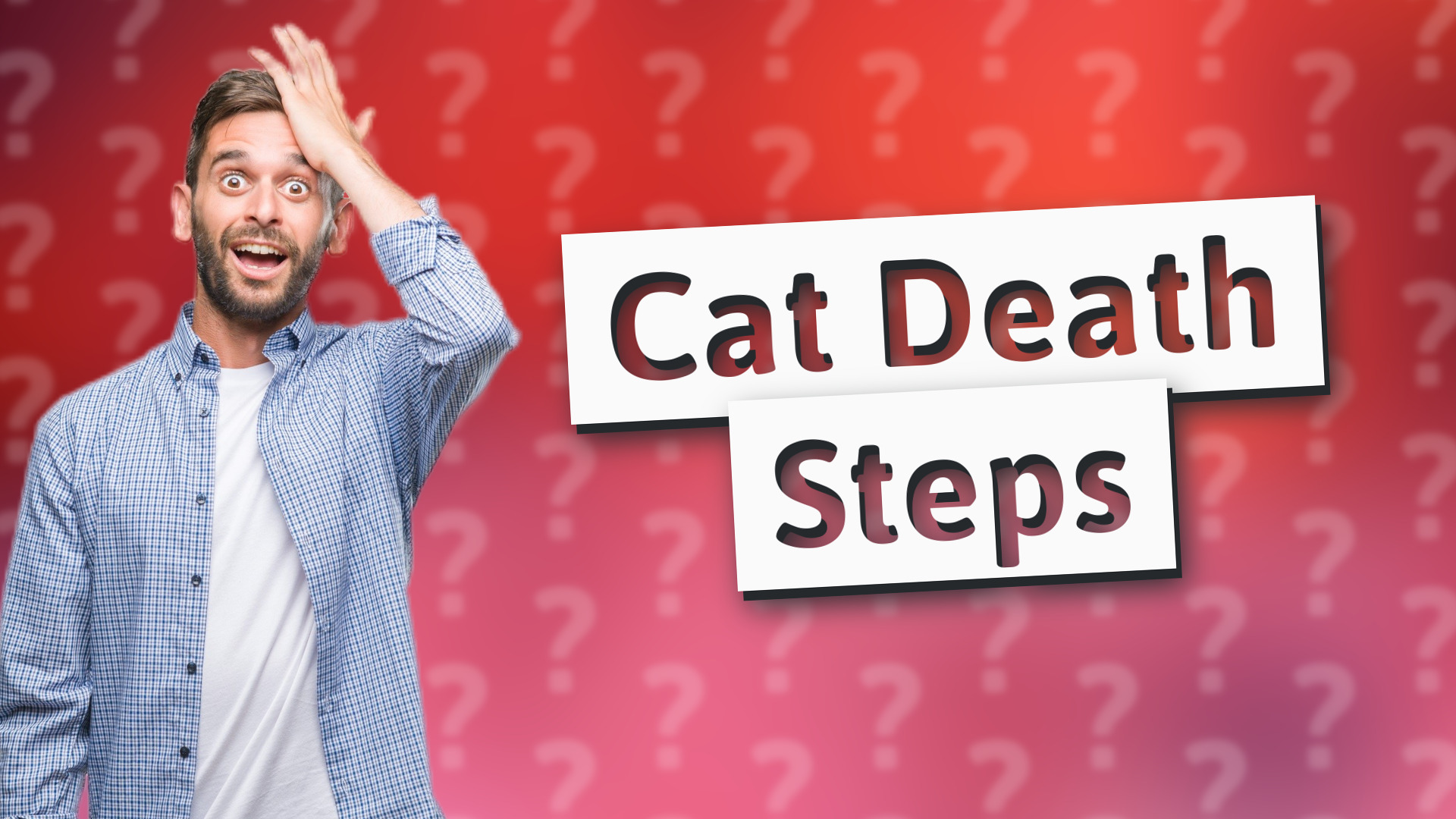Cat Death Steps