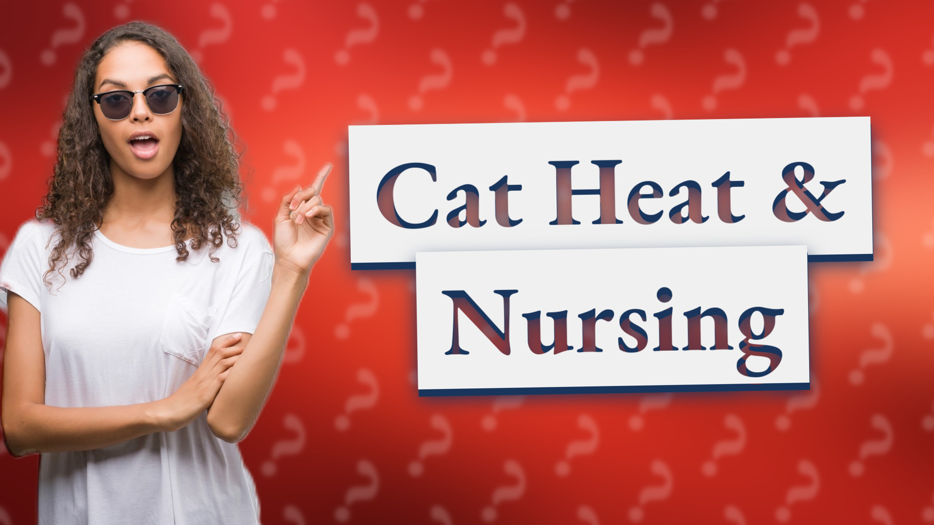 Cat Heat & Nursing