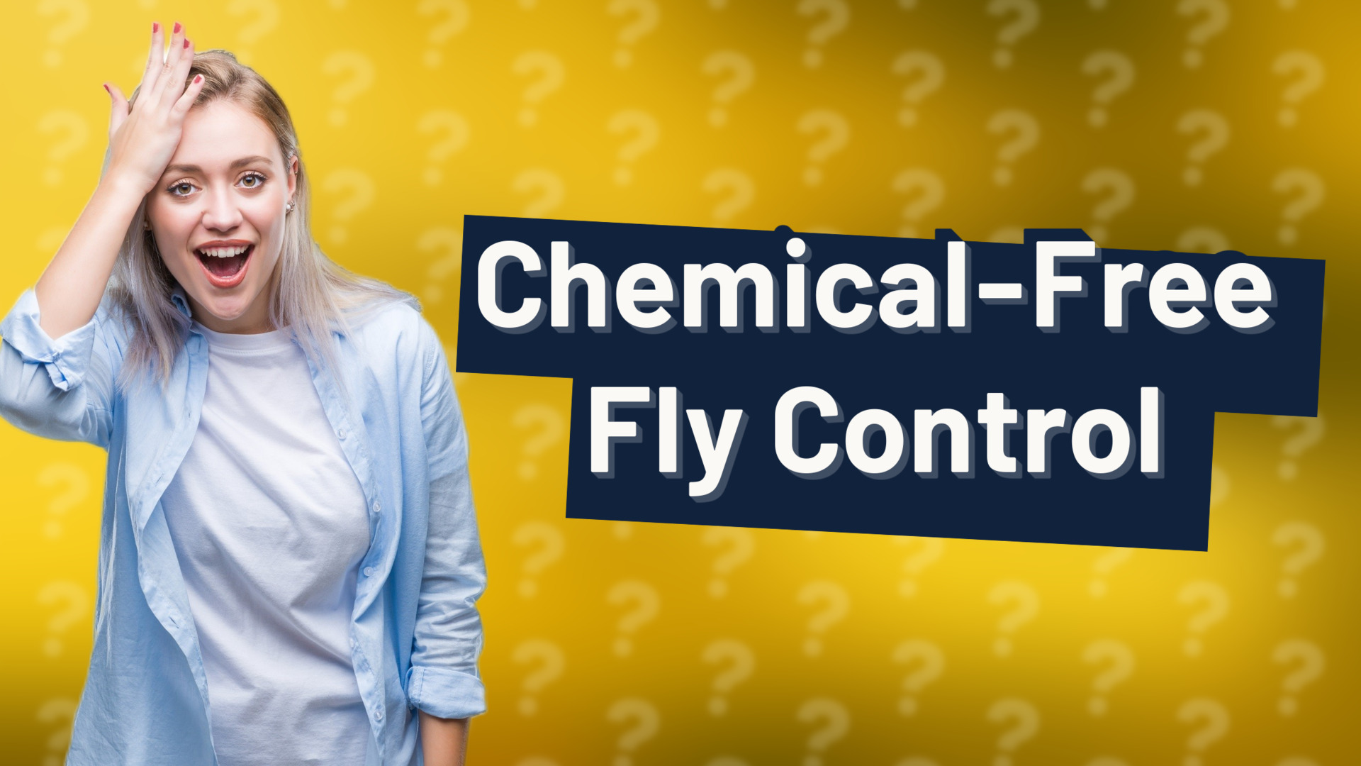 Chemical-Free Fly Control