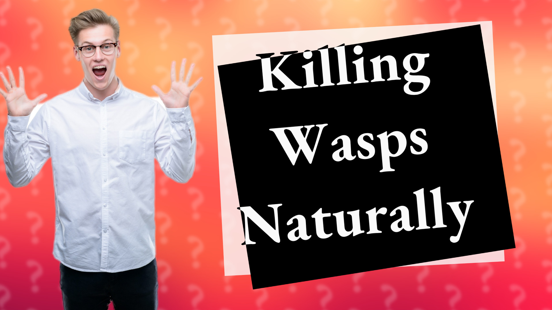 Killing Wasps Naturally