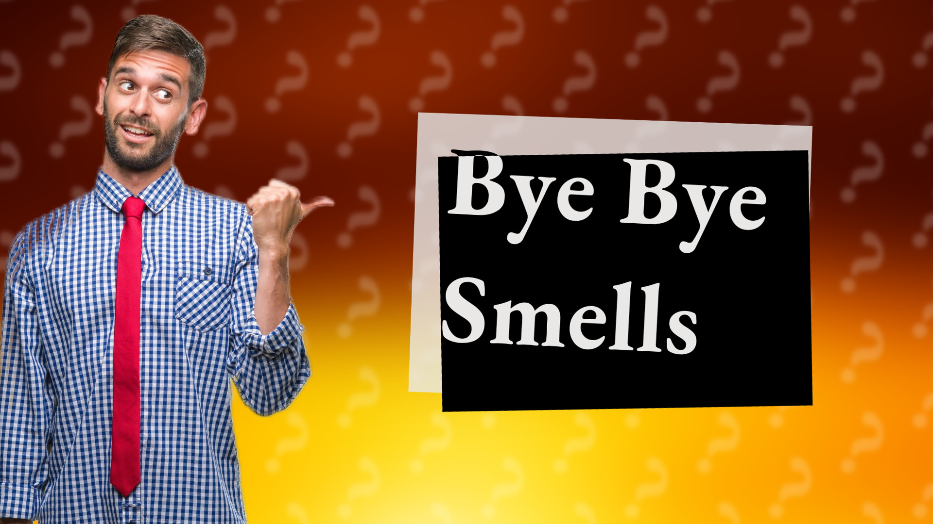 Bye Bye Smells