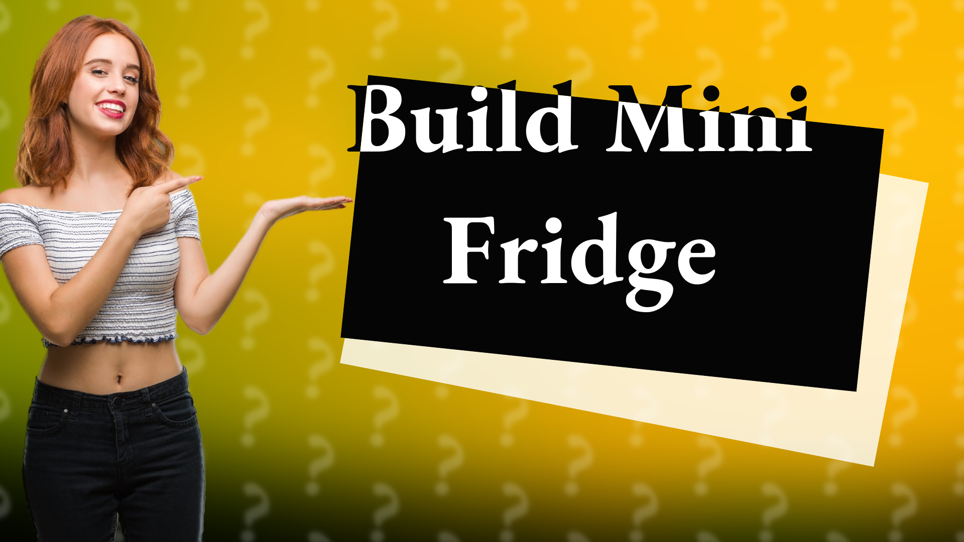 Build Mini Fridge