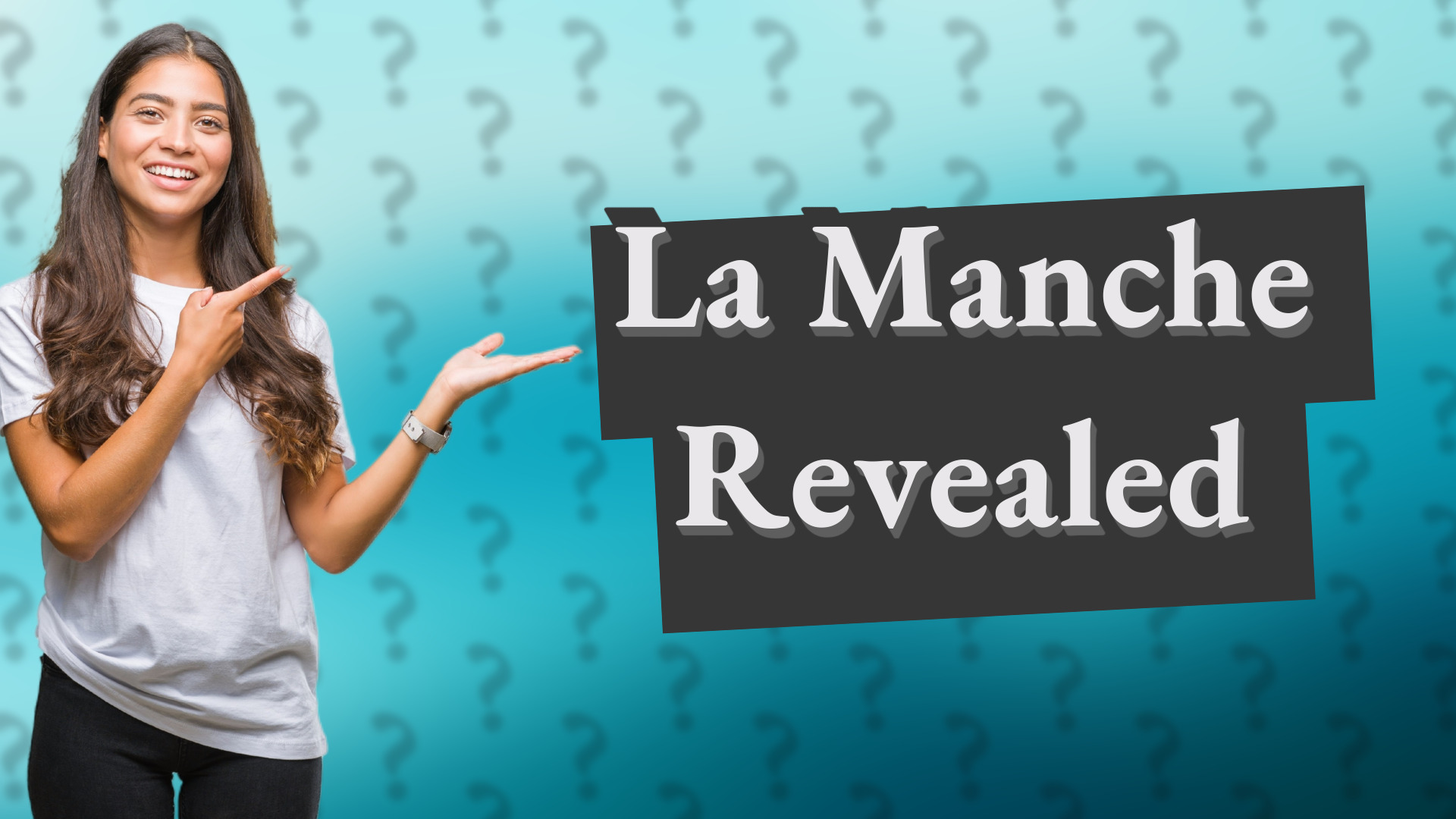La Manche Revealed