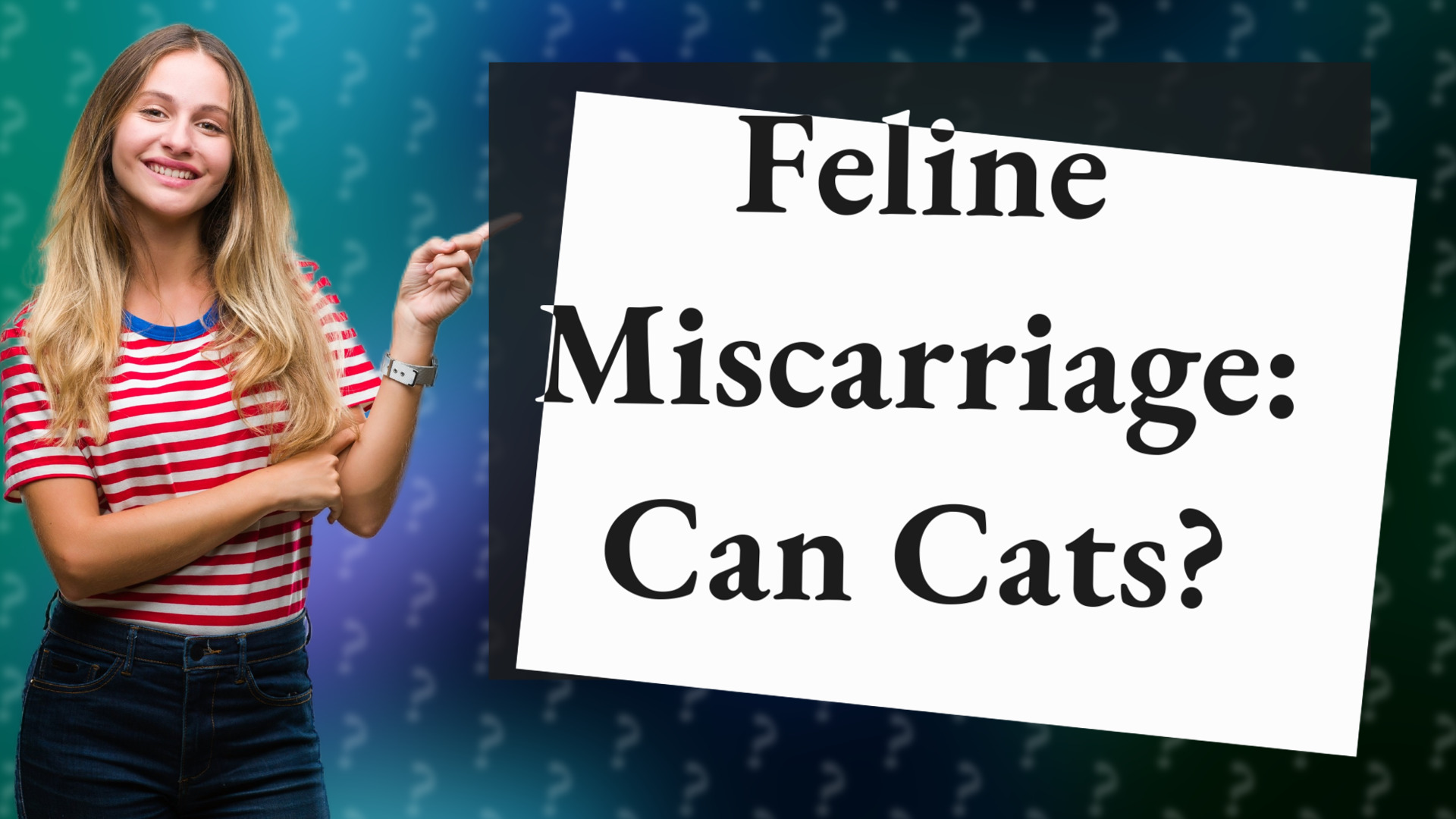 Feline Miscarriage: Can Cats?