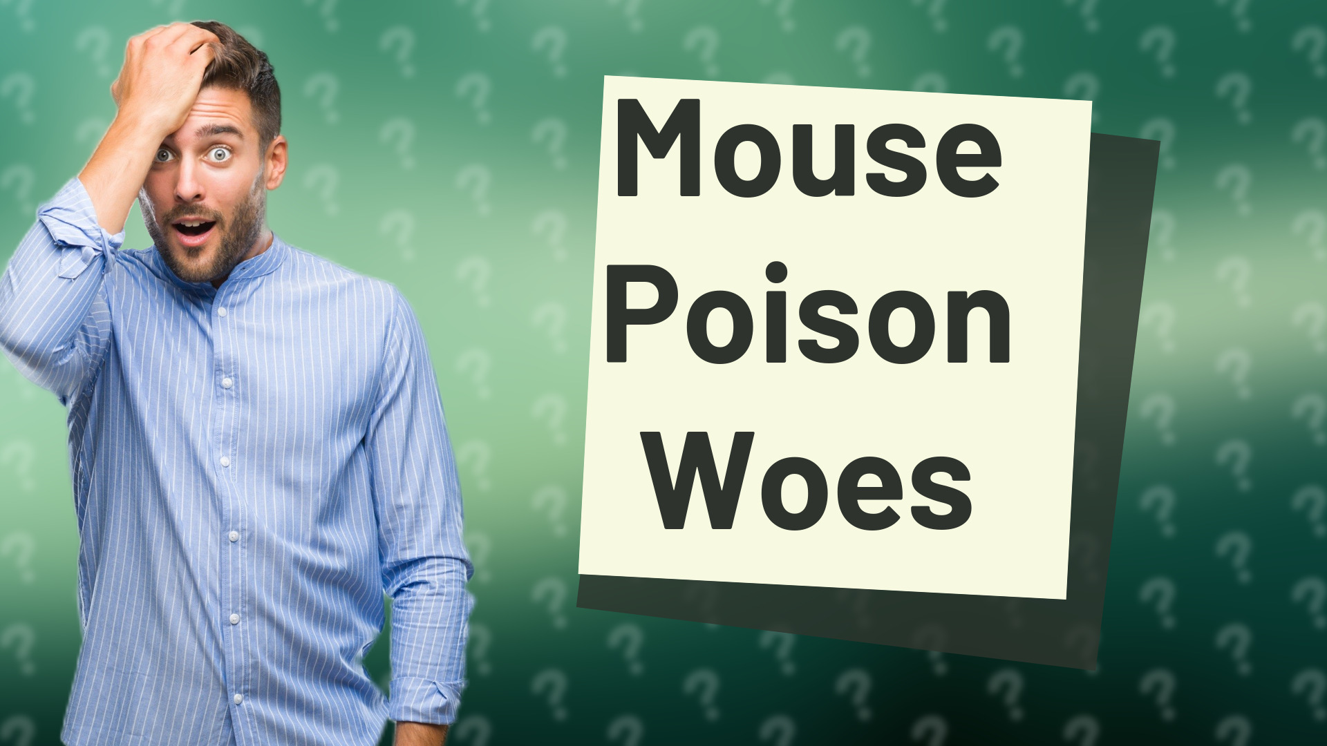 Mouse Poison Woes