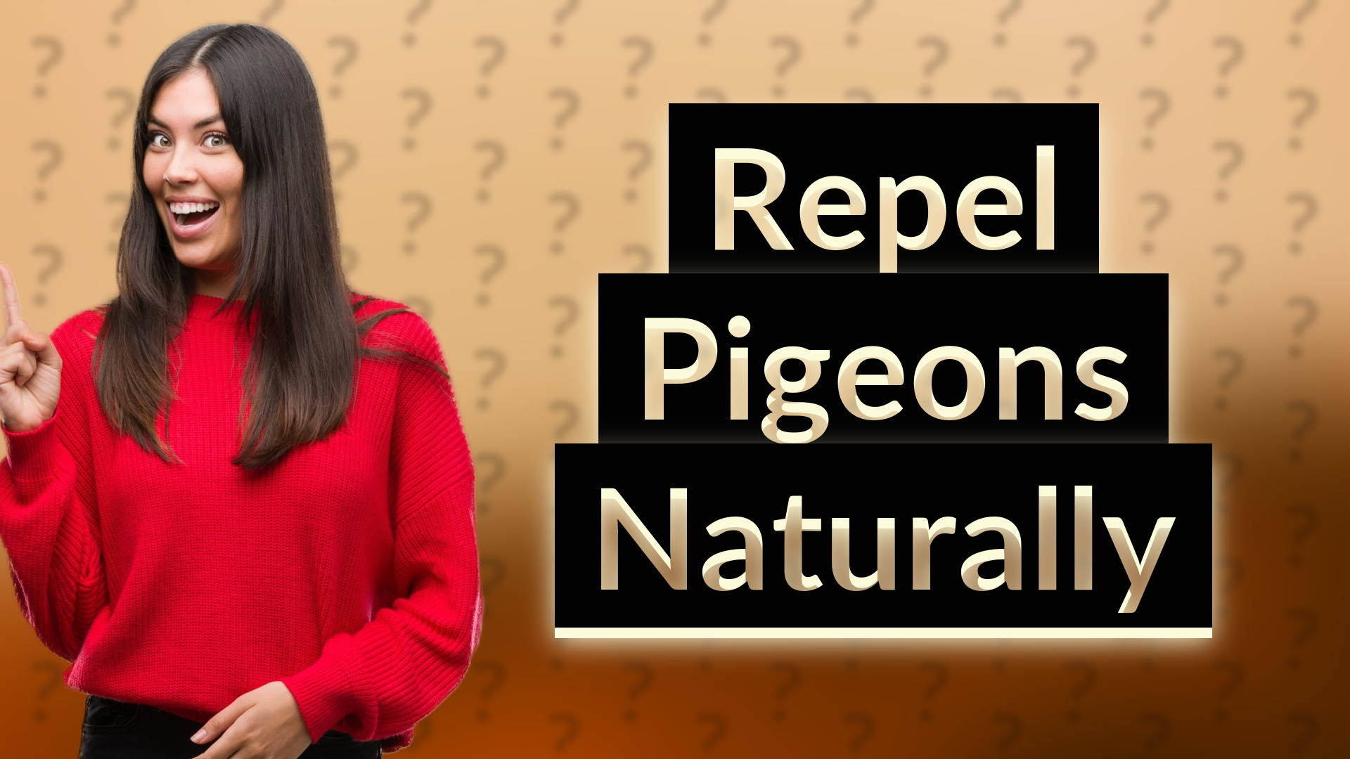 Repel Pigeons Naturally