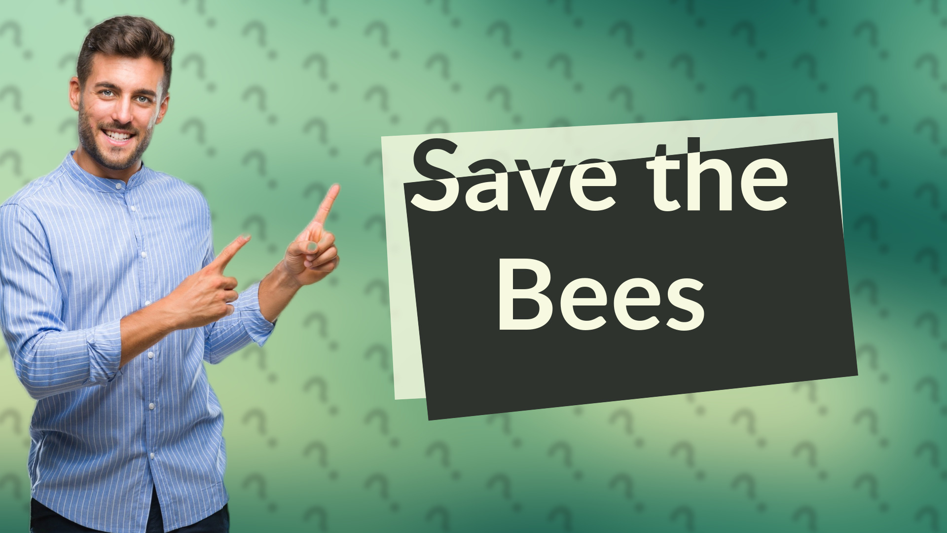 Save the Bees