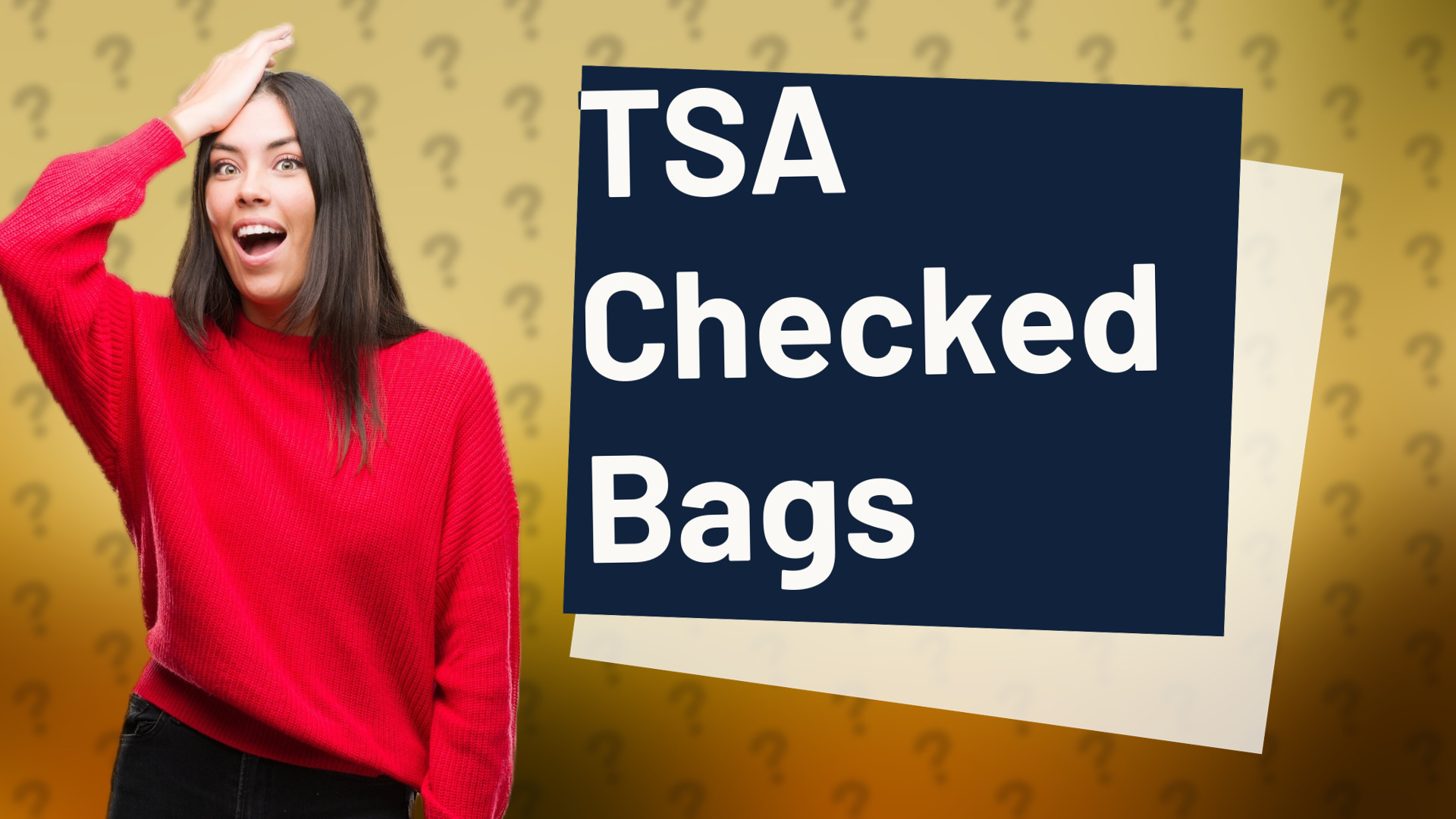 TSA Checked Bags