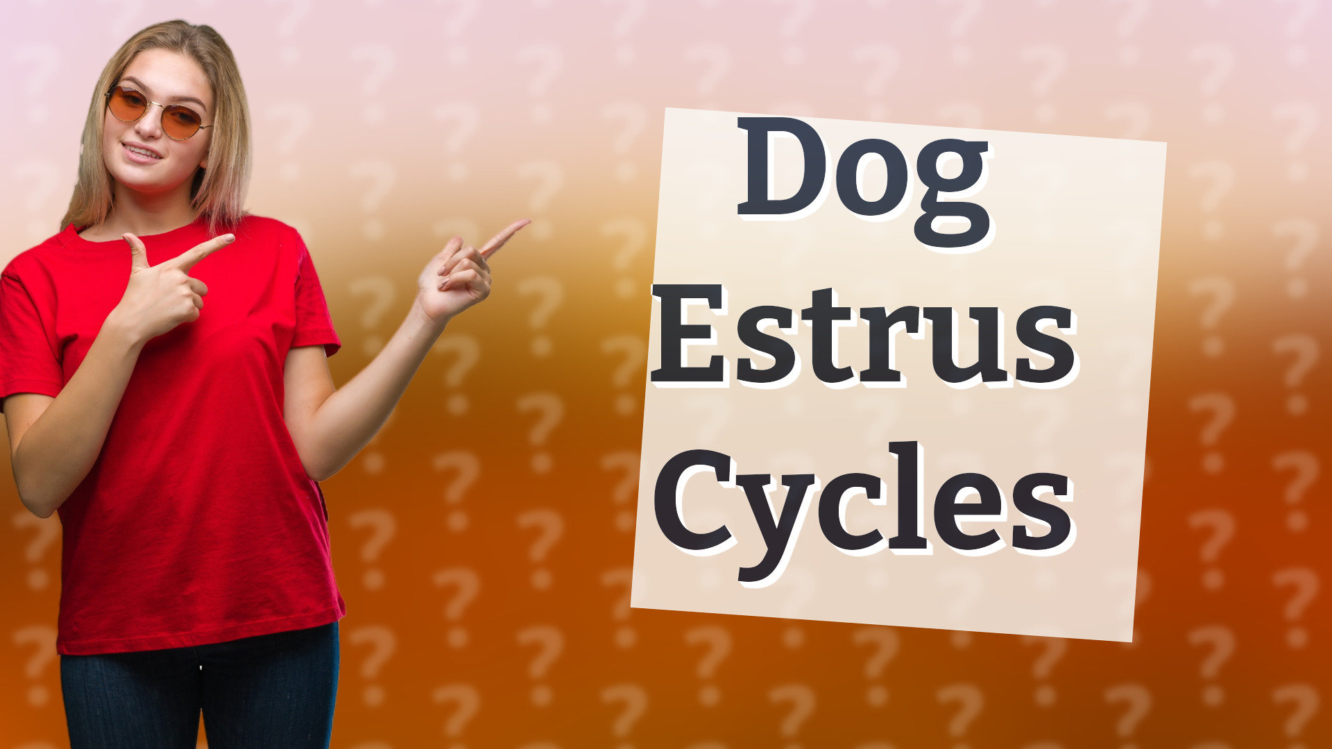 Dog Estrus Cycles