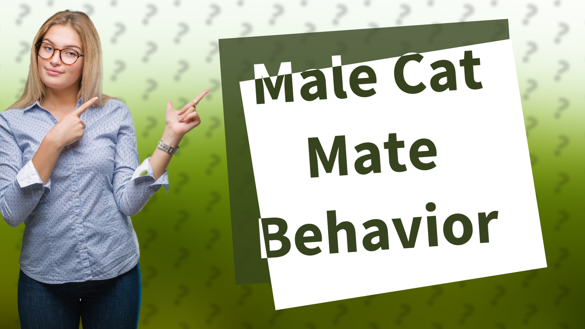 Male Cat Mate Behavior