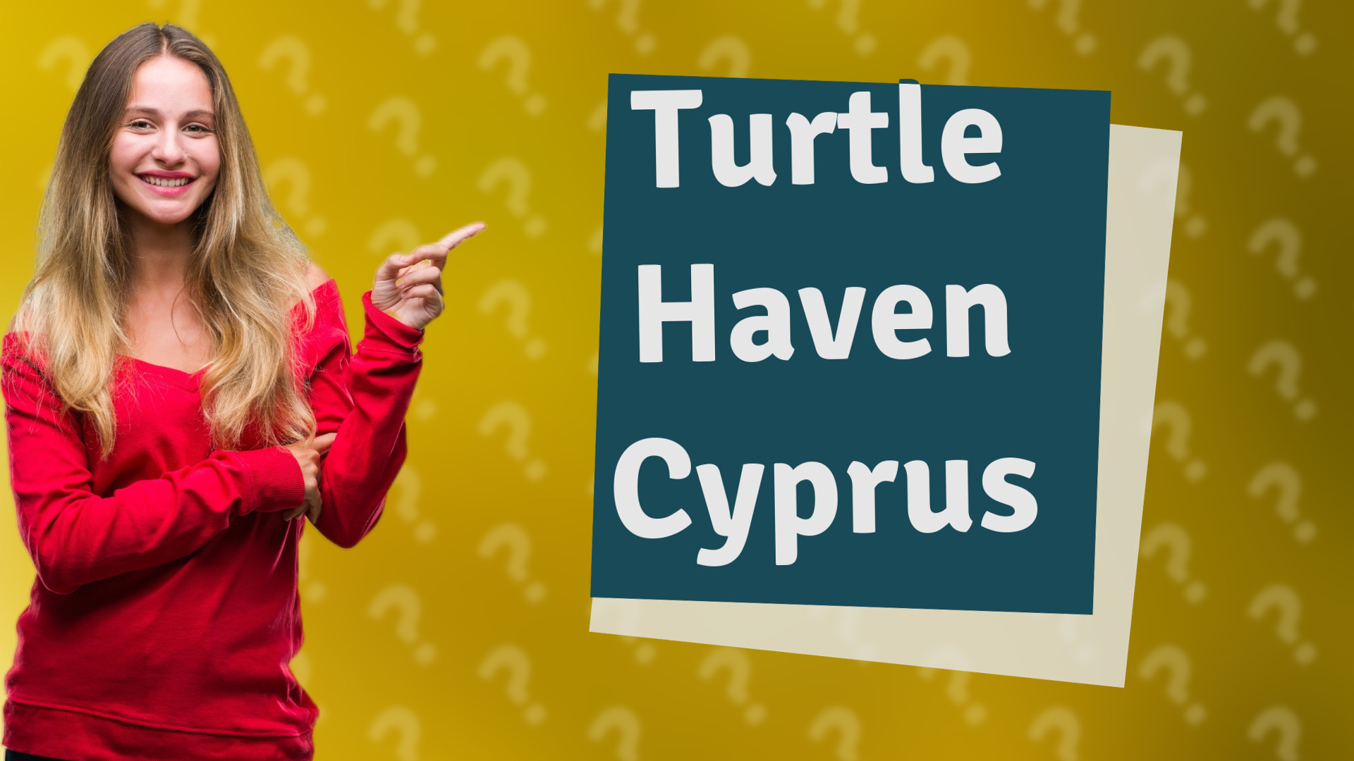 Turtle Haven Cyprus