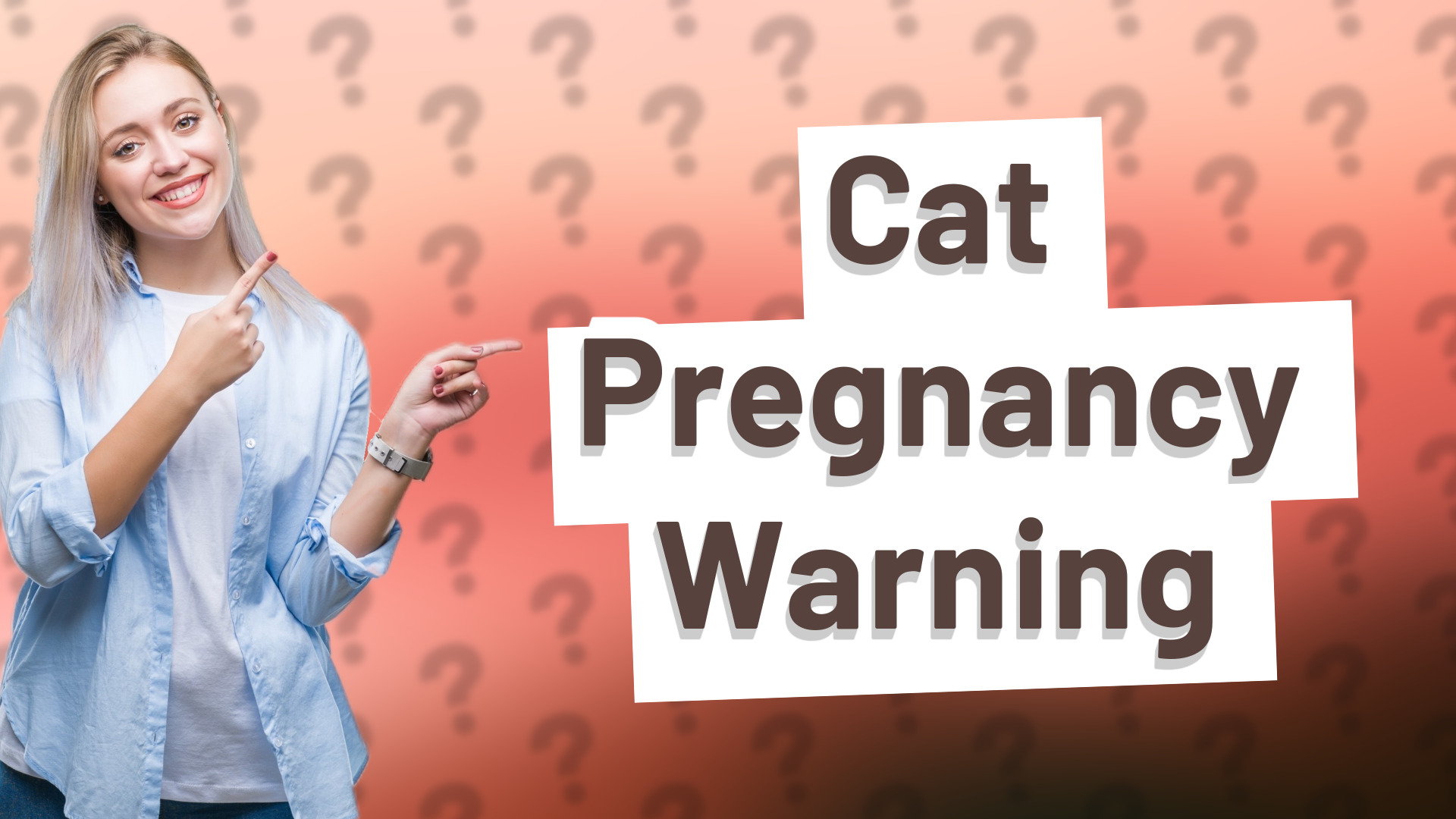Cat Pregnancy Warning