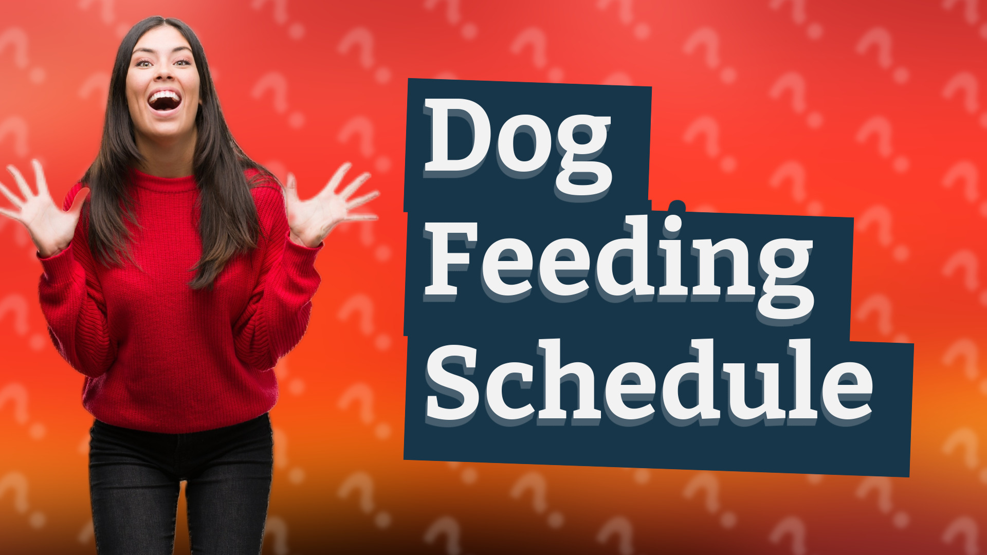 Dog Feeding Schedule