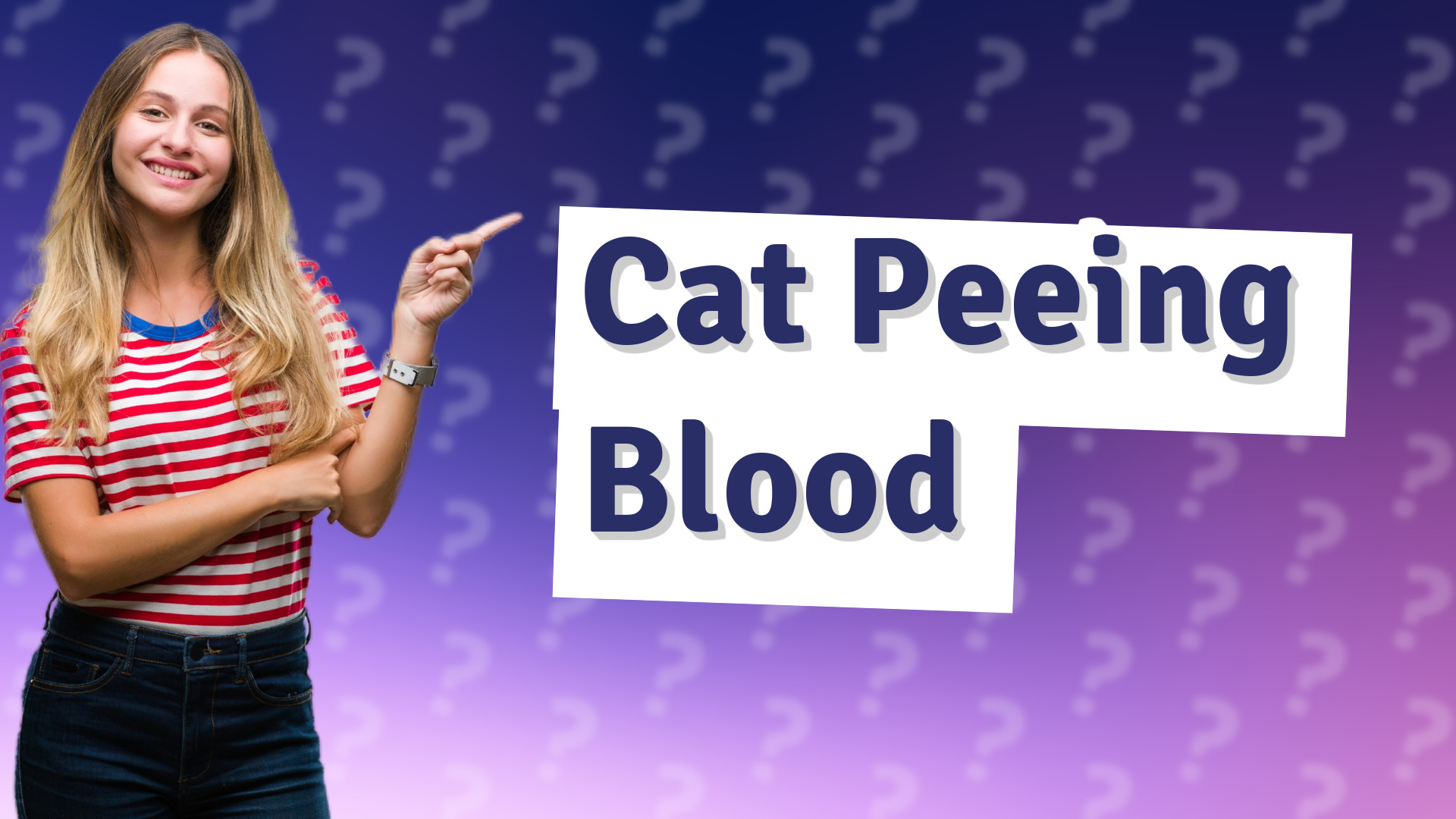 Cat Peeing Blood