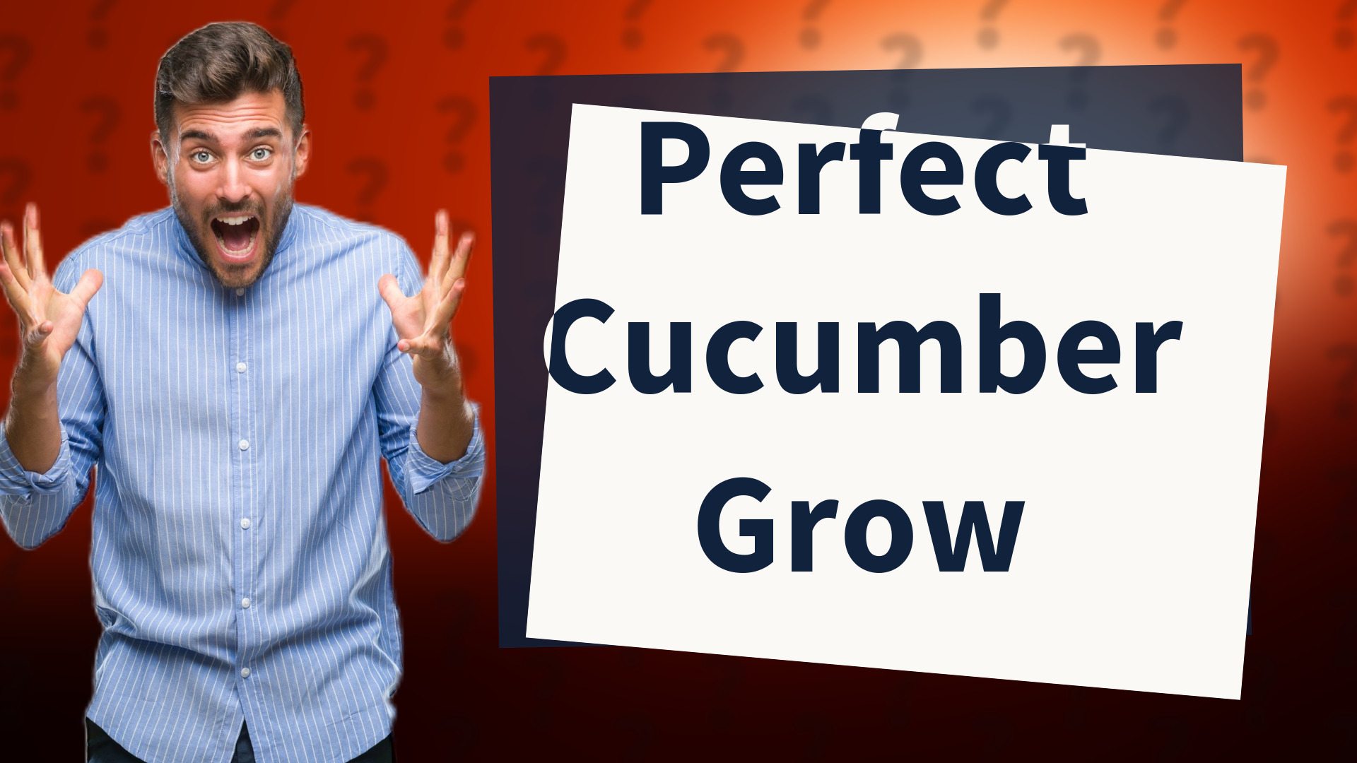 Perfect Cucumber Grow