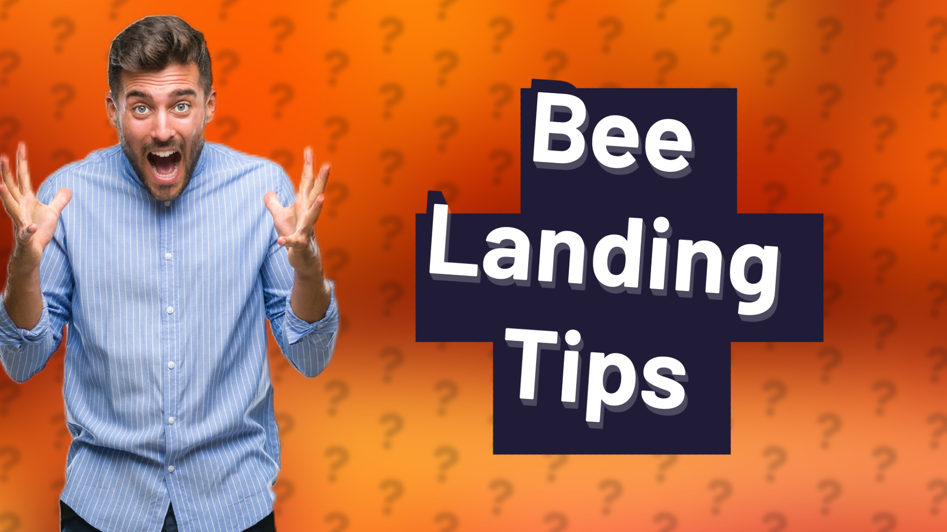 Bee Landing Tips