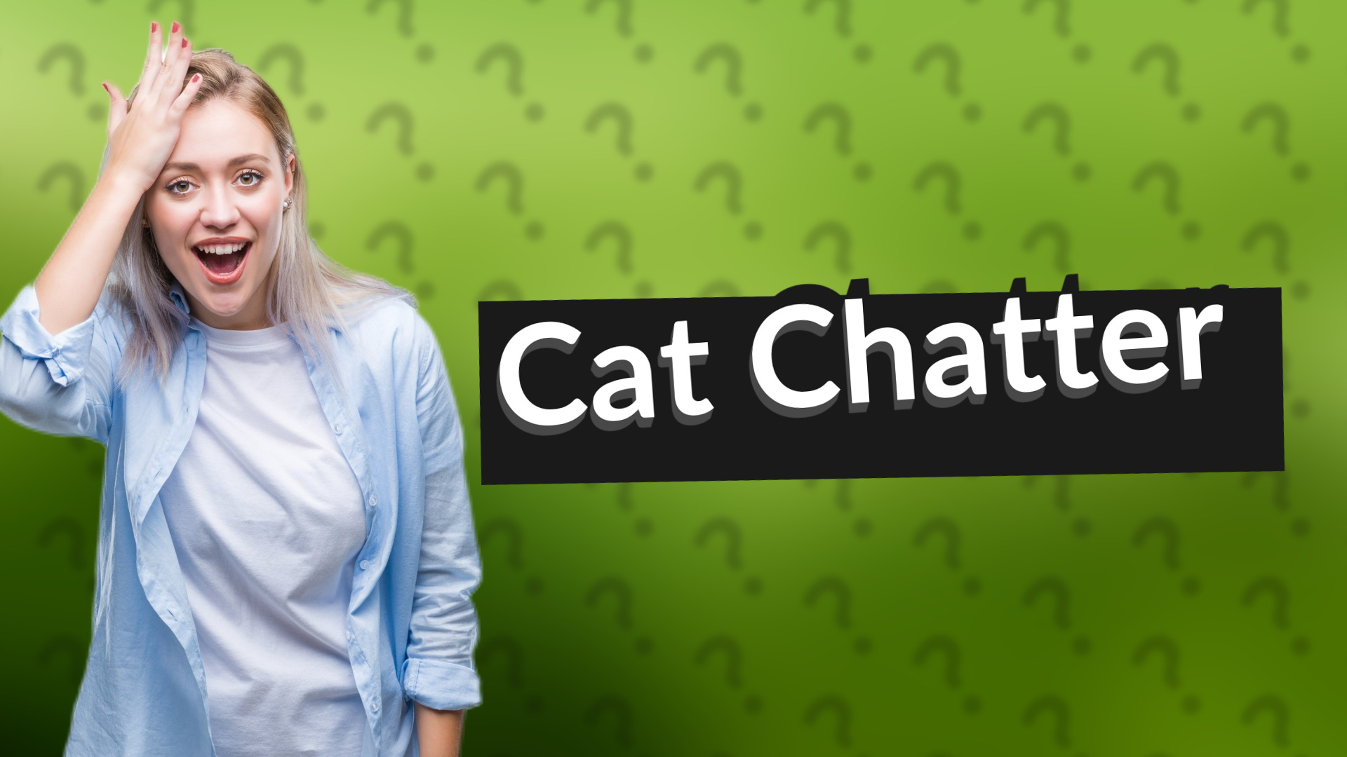 Cat Chatter