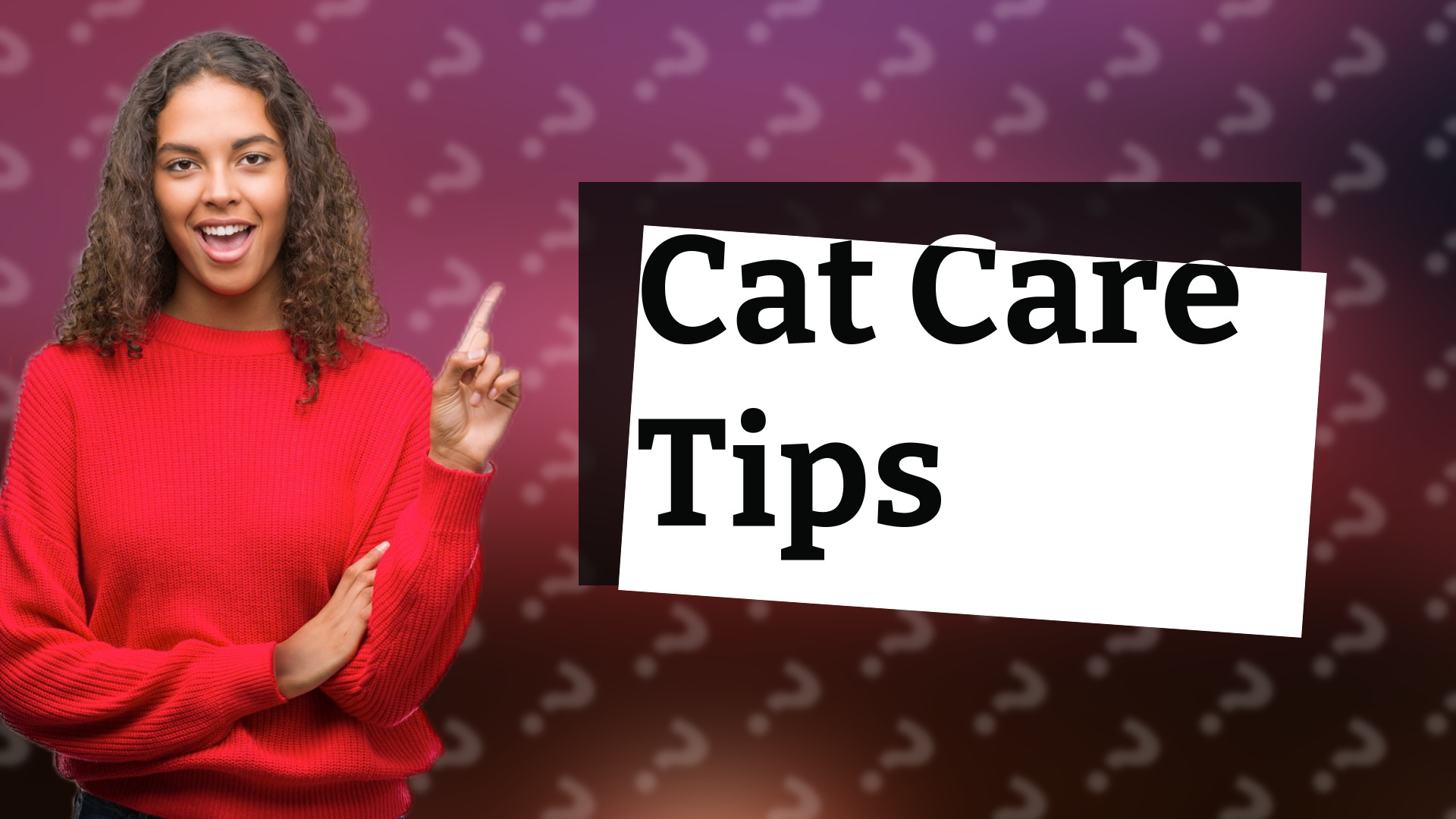 Cat Care Tips