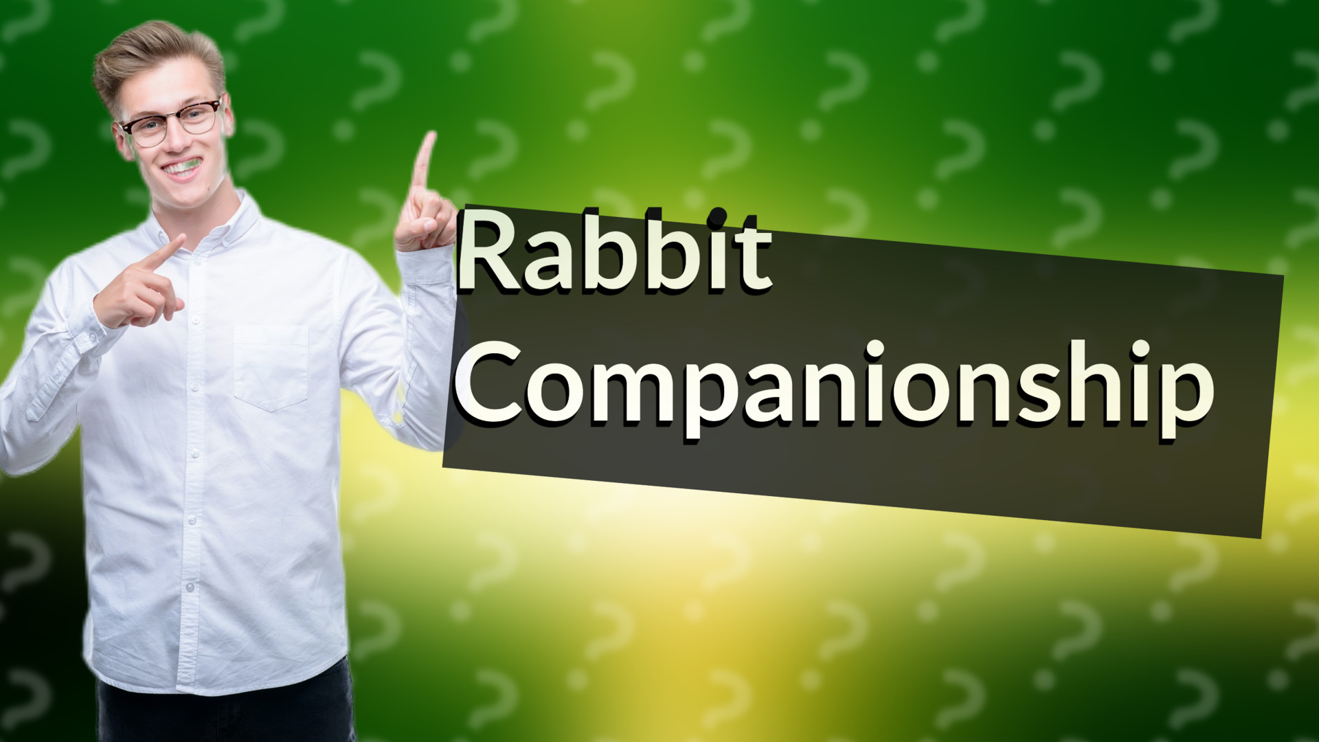 Rabbit Companionship
