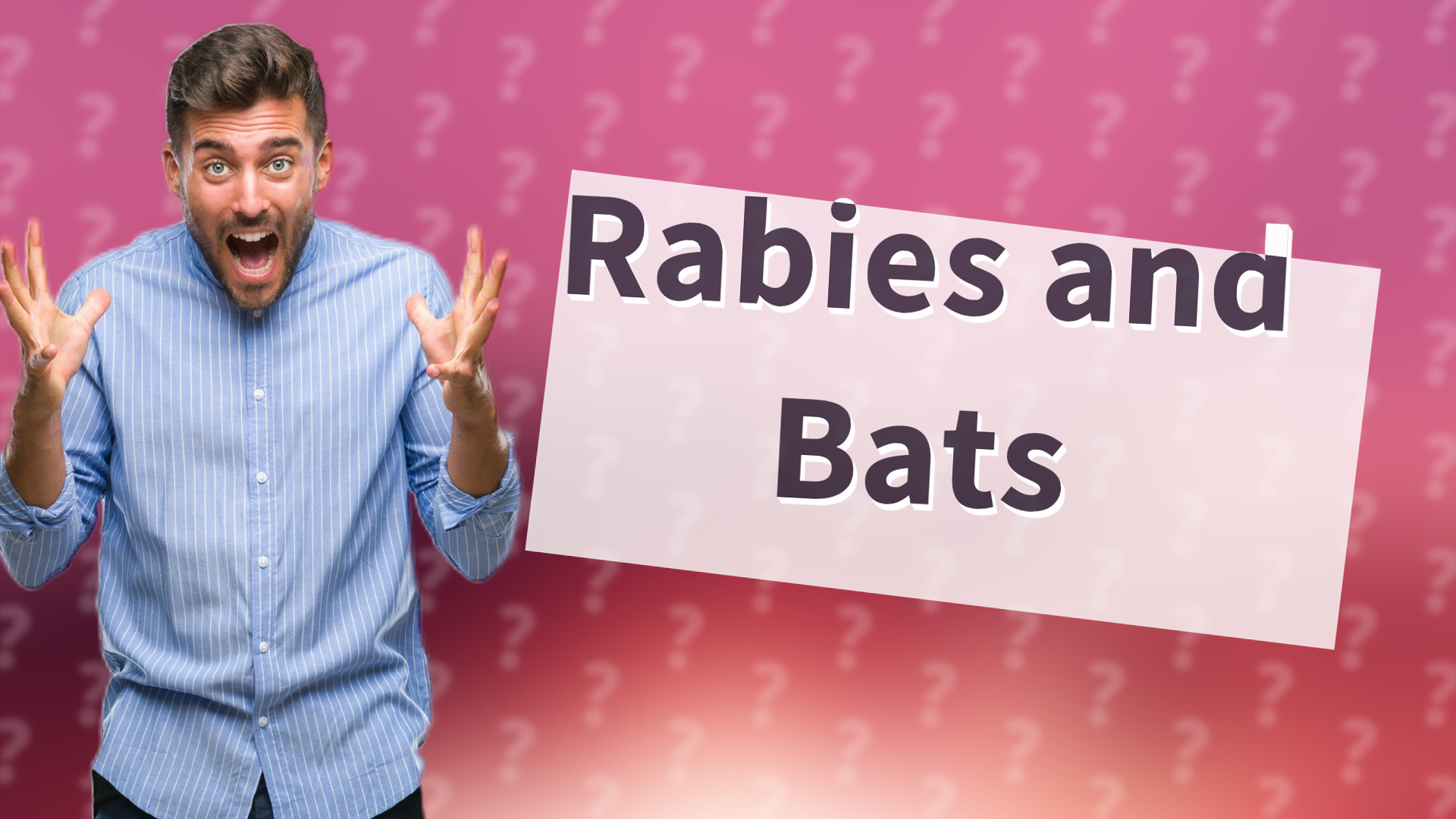 Rabies and Bats