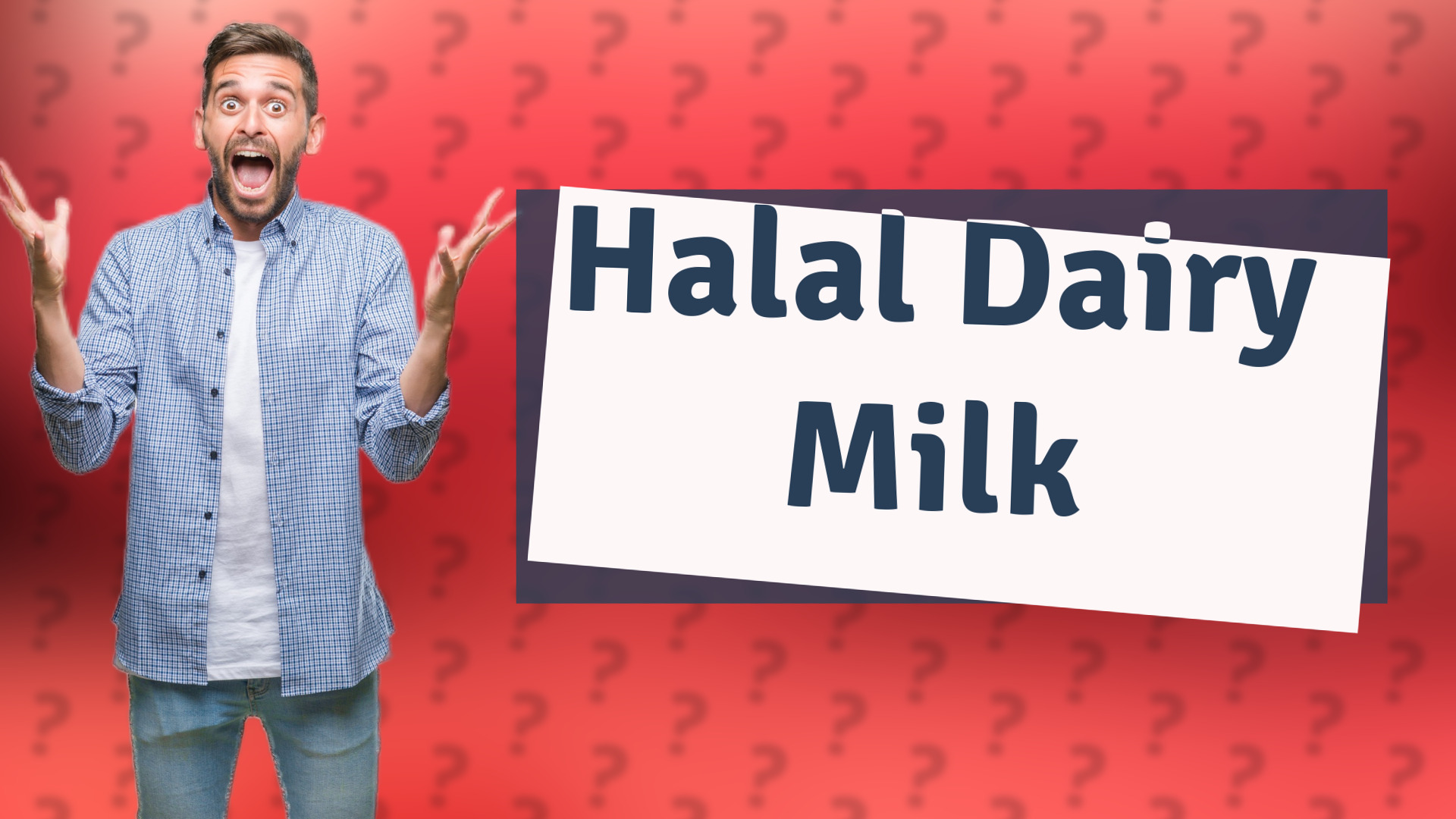 Halal Dairy Milk