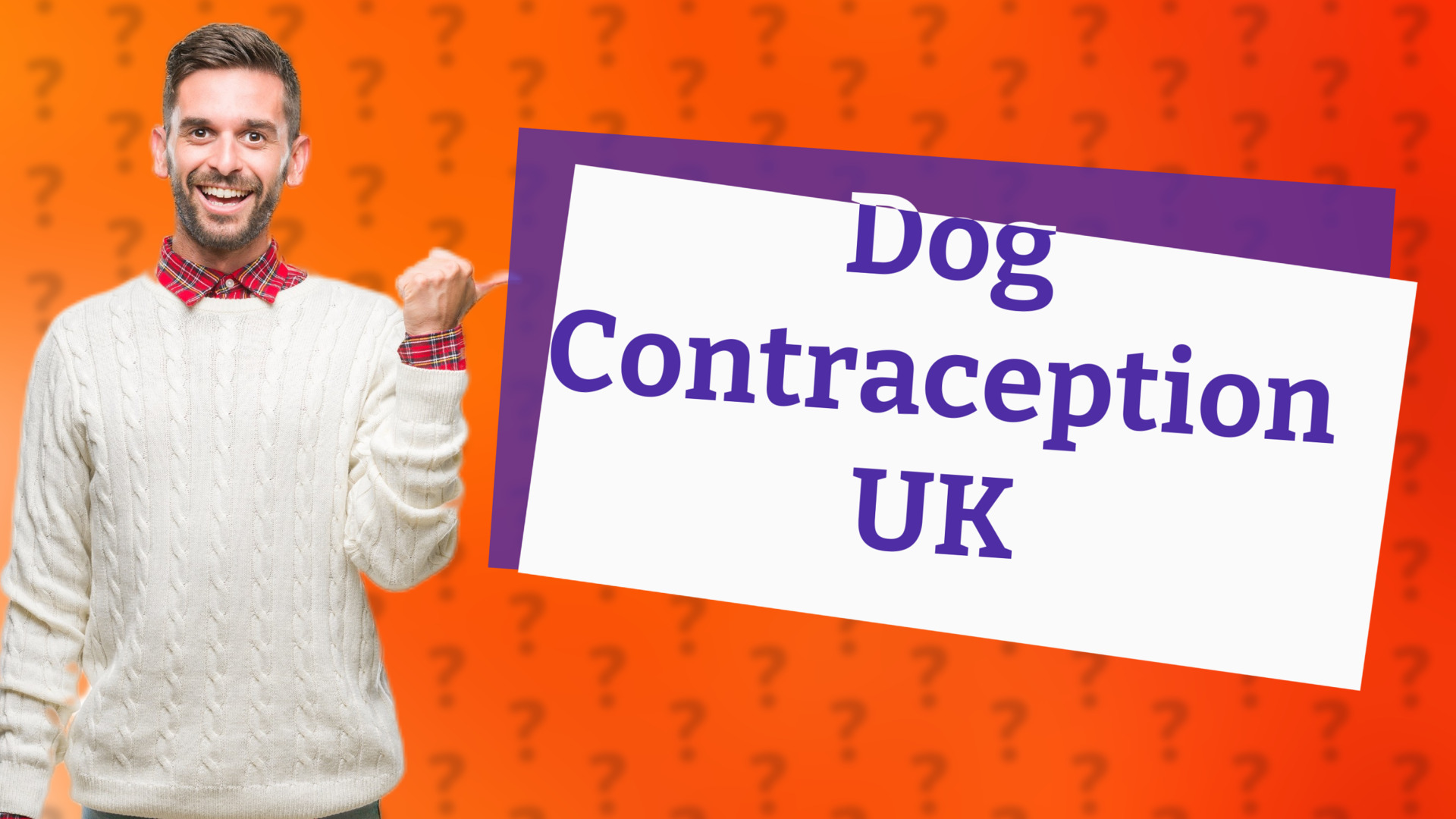 Dog Contraception UK