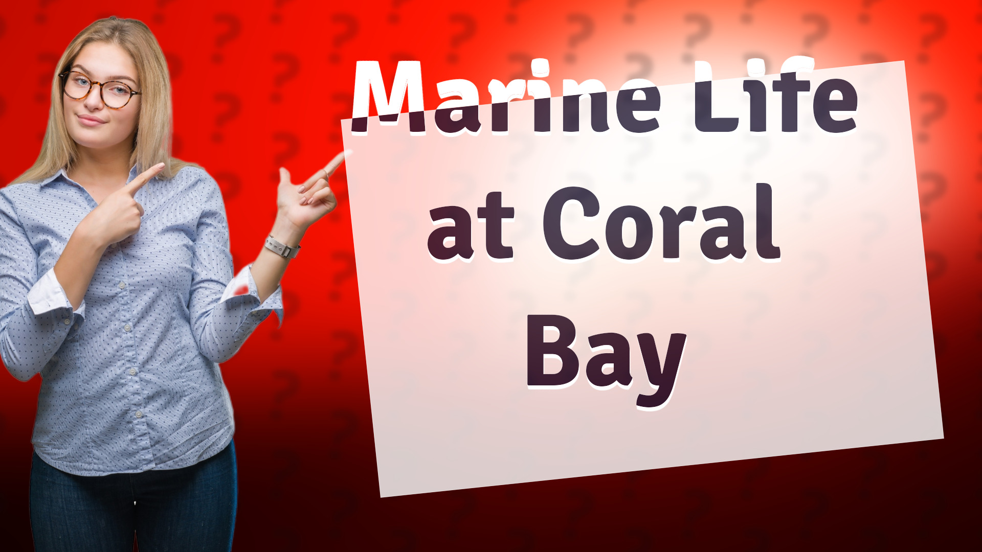 Marine Life at Coral Bay