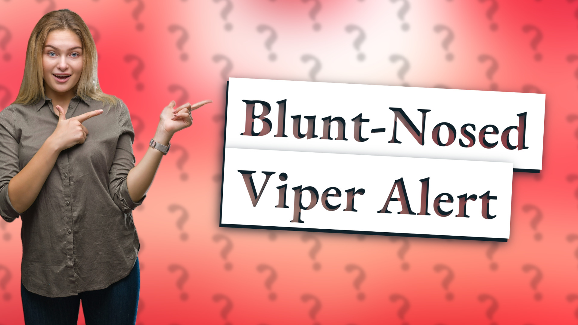Blunt-Nosed Viper Alert