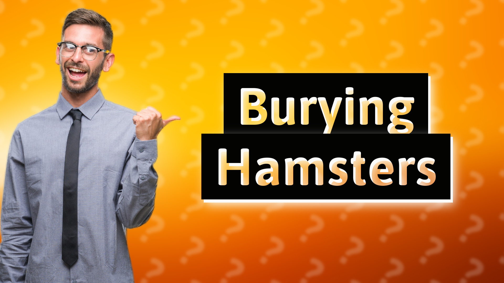 Burying Hamsters