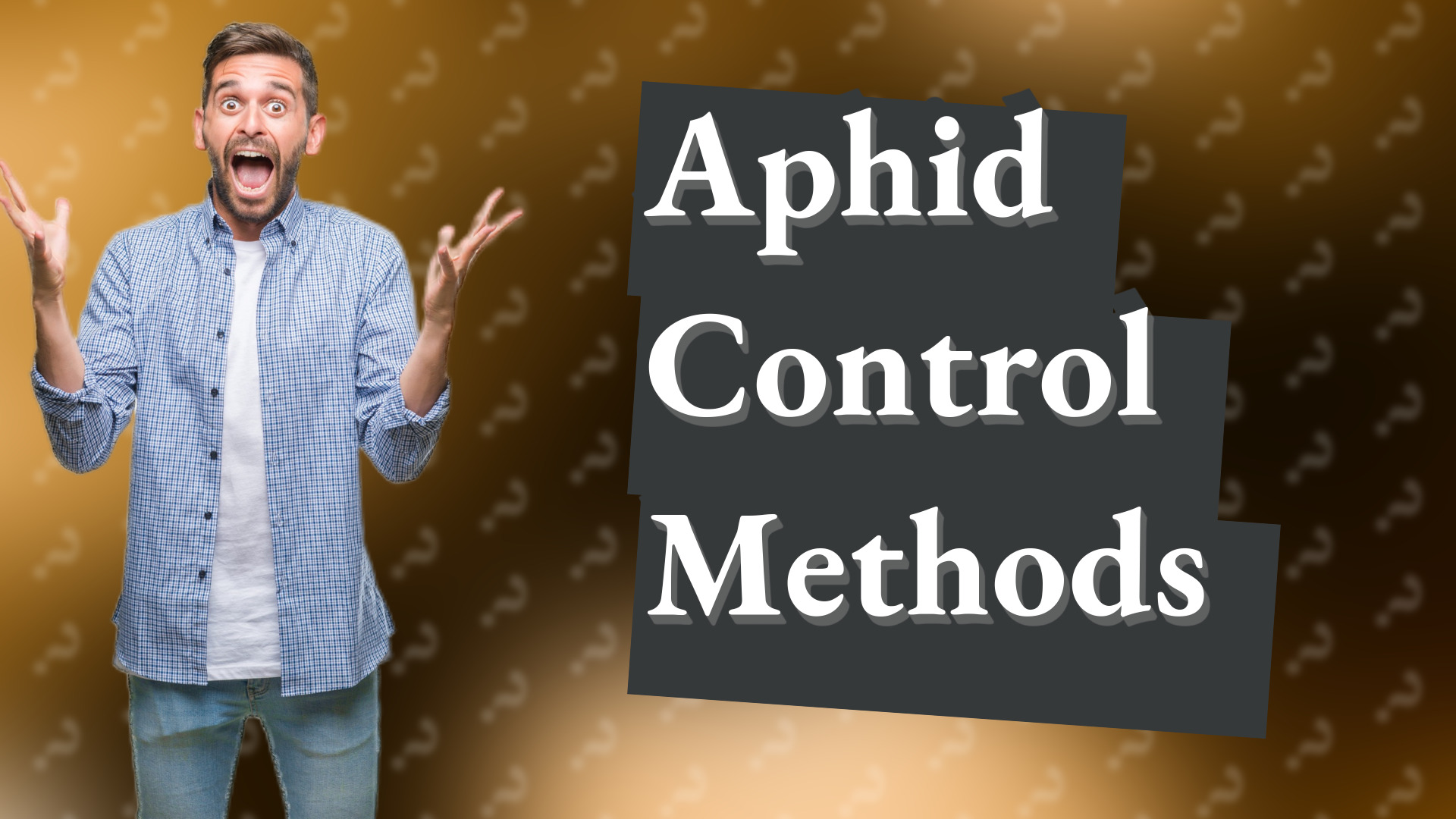 Aphid Control Methods