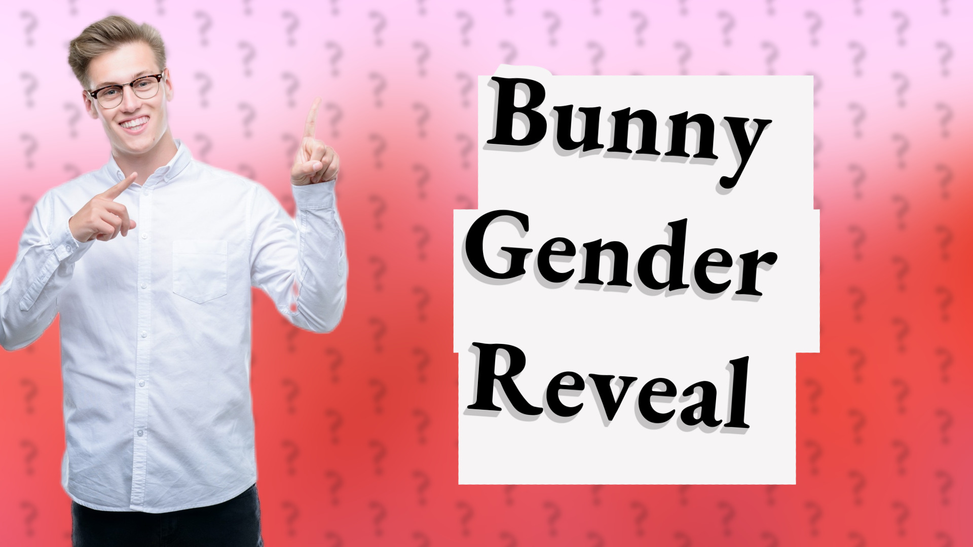 Bunny Gender Reveal