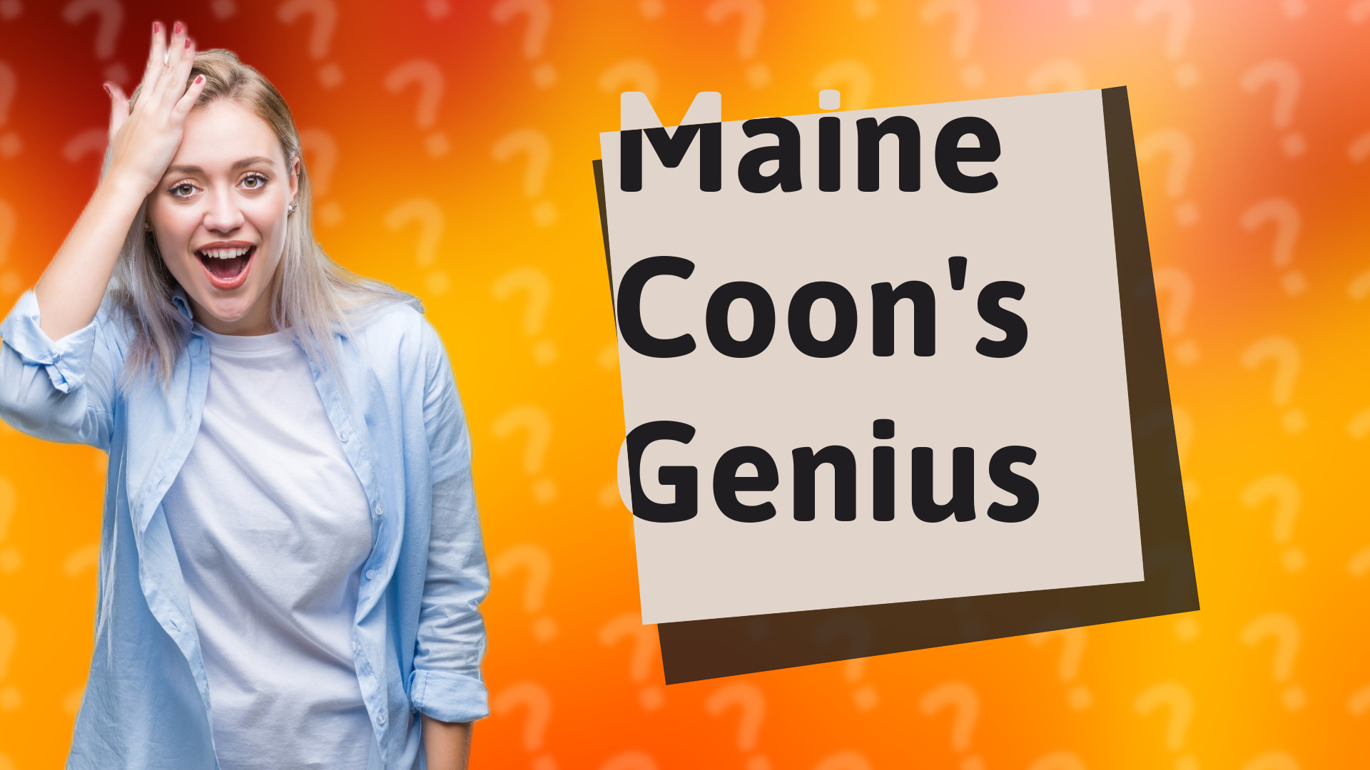 Maine Coon's Genius