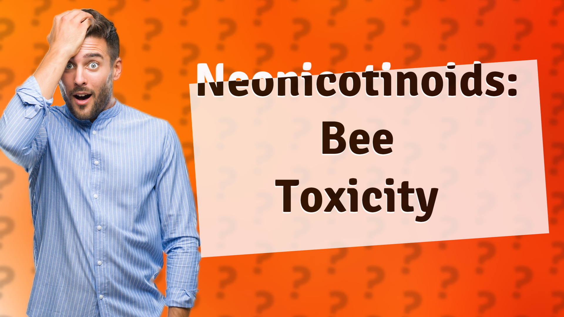 Neonicotinoids: Bee Toxicity