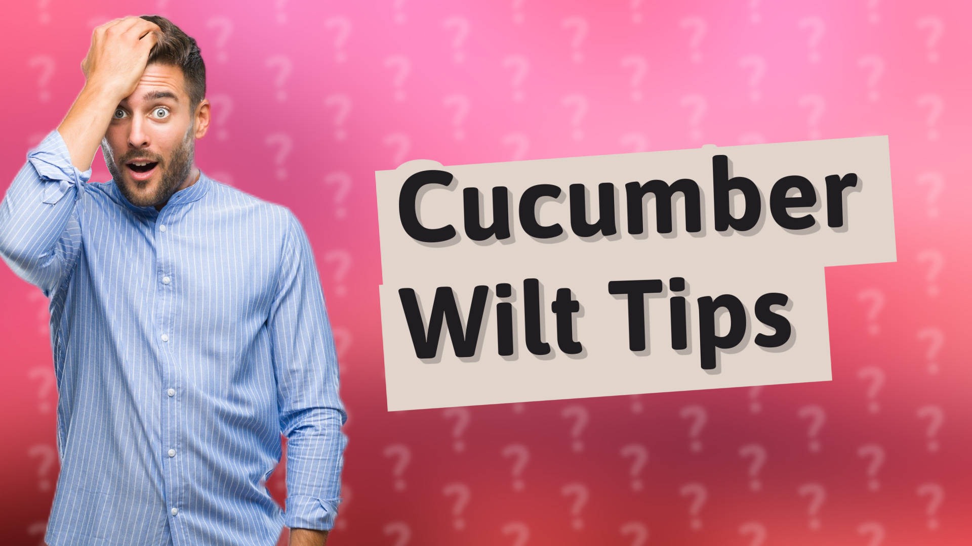 Cucumber Wilt Tips