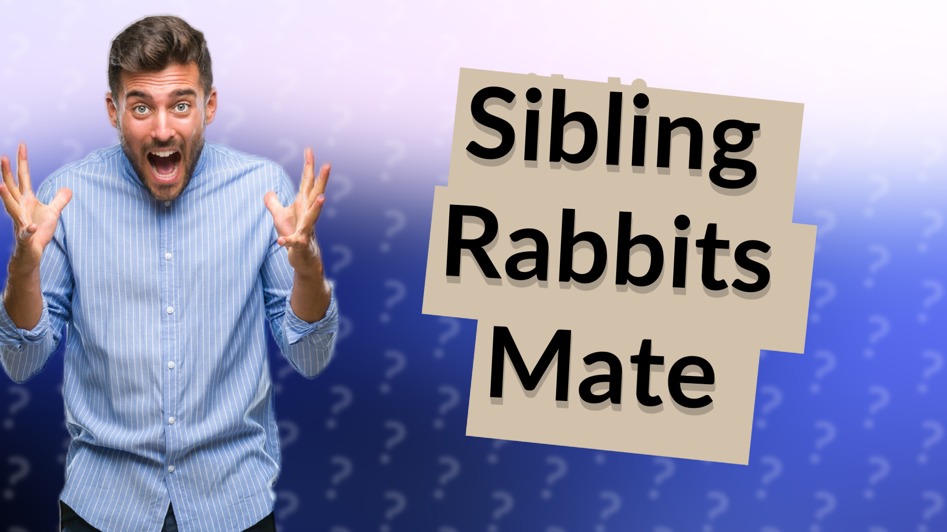 Sibling Rabbits Mate