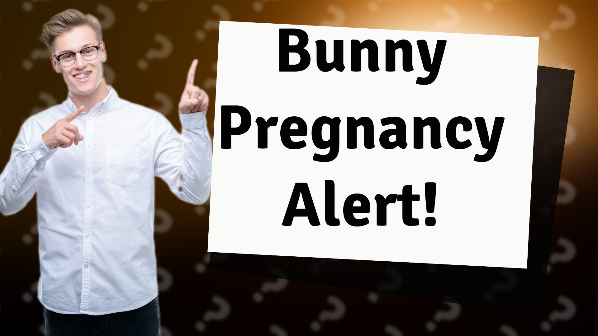 Bunny Pregnancy Alert!