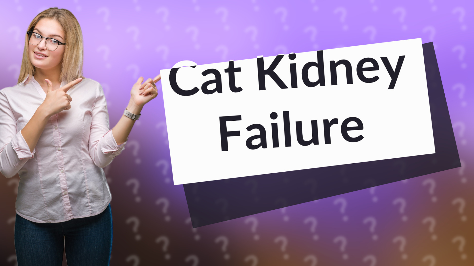 Cat Kidney Failure