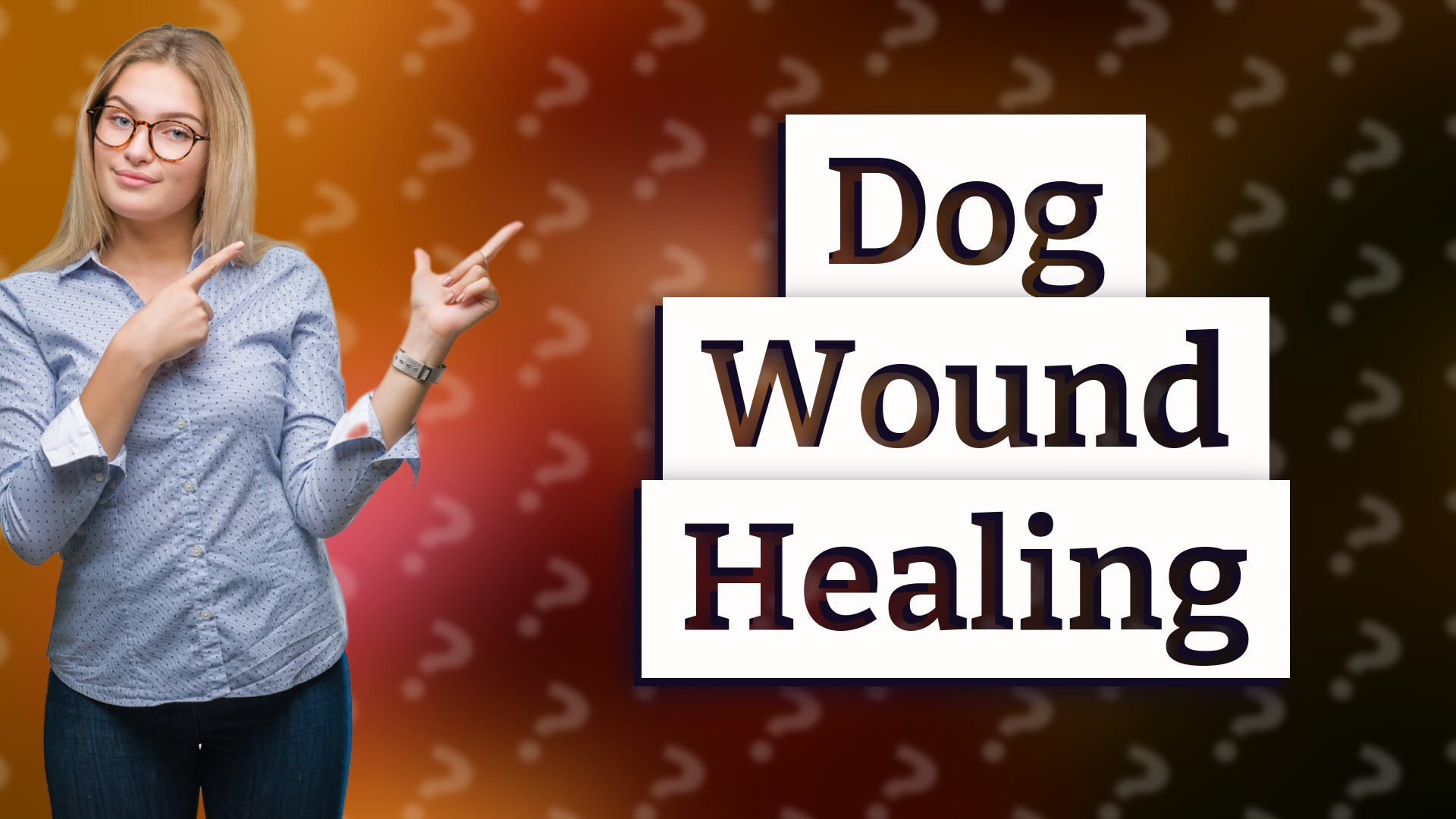 Dog Wound Healing